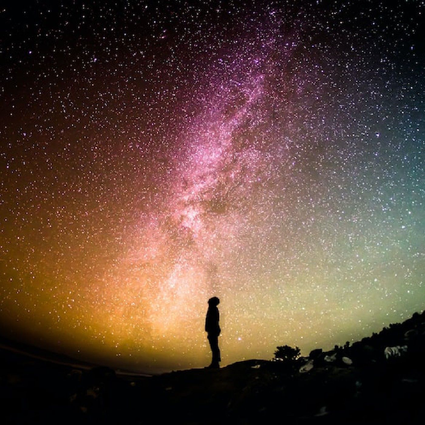 Surviving the Chaotic years of change