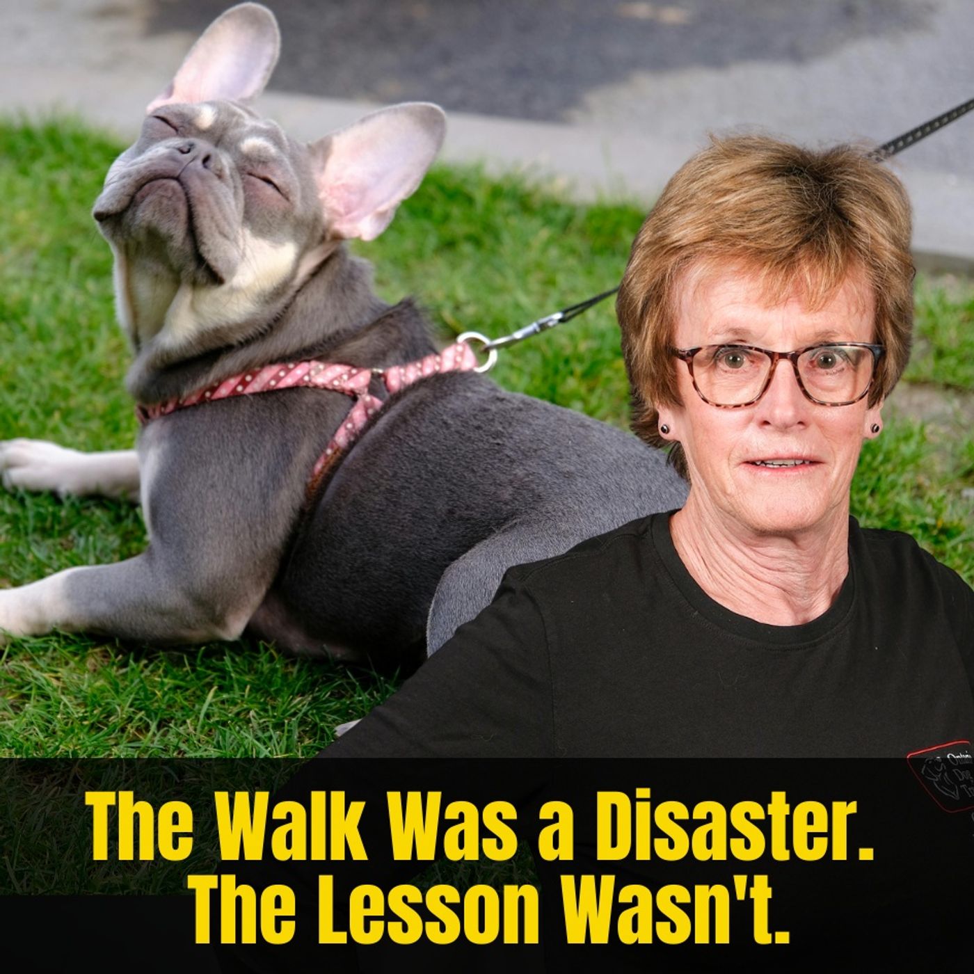 The Best Dog Walkers Have the Worst Stories — Here's How They Bounced Back