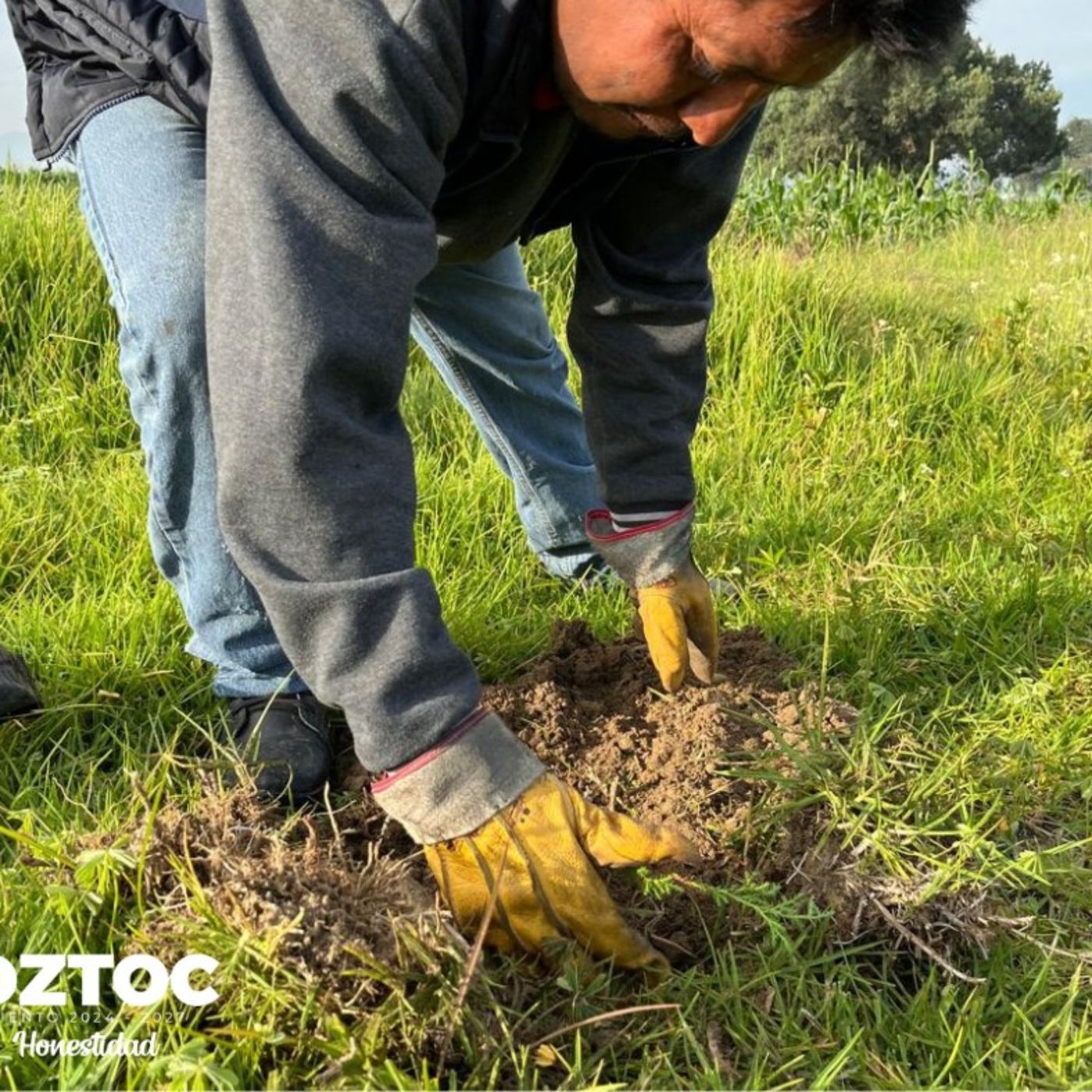 Peligrosa.mx ObjetivoAM Noticias