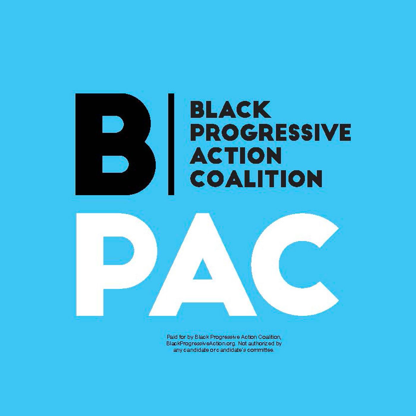 BlackPAC: There is Power in Our Vote