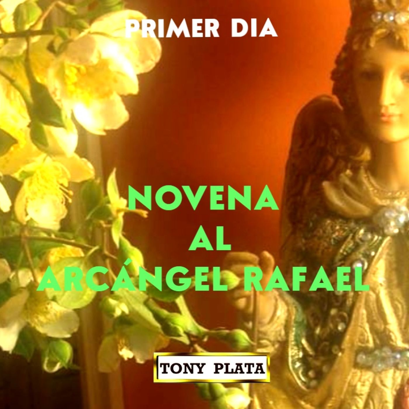 PRIMER DIA NOVENA A SAN RAFAEL episode artwork