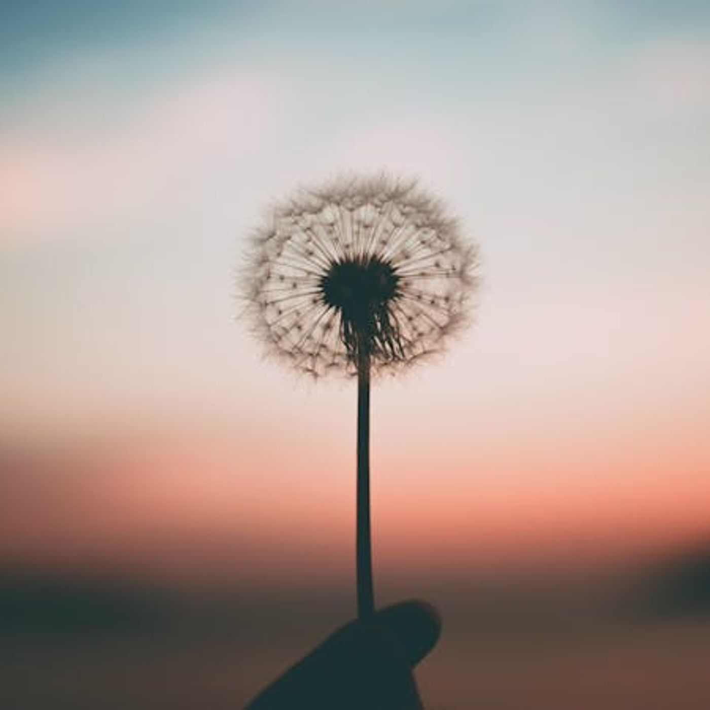 What Will Become of Christian Hedonism After You’re Gone?