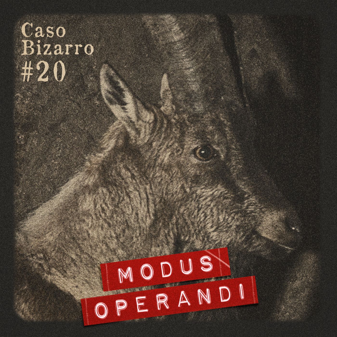 Modus Operandi