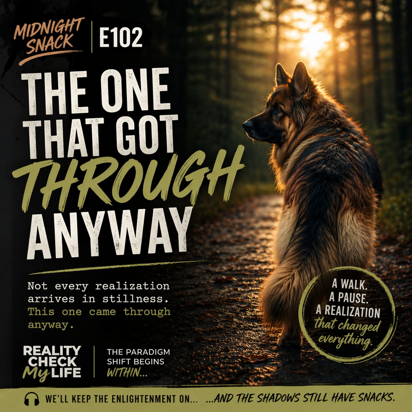 Midnight Snack E102: The One That Got Through Anyway