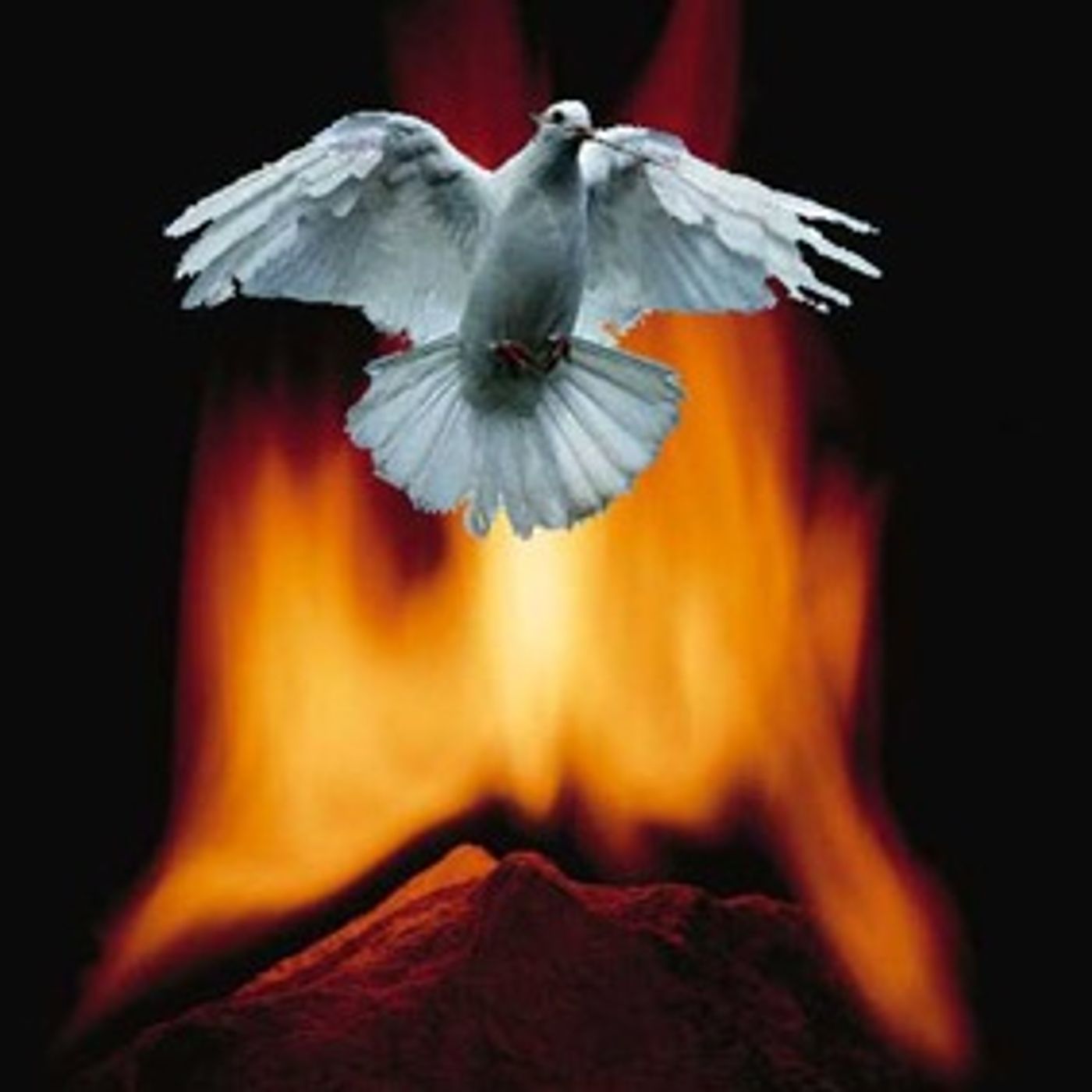 Pentecostal Habitat- UC episode artwork