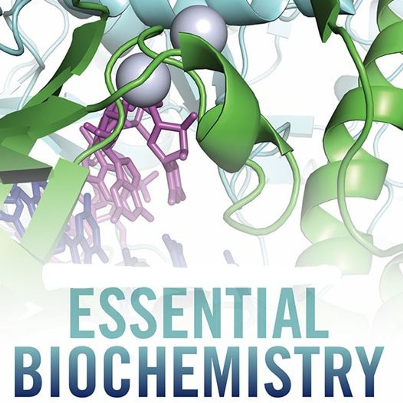 Essential Biochemistry