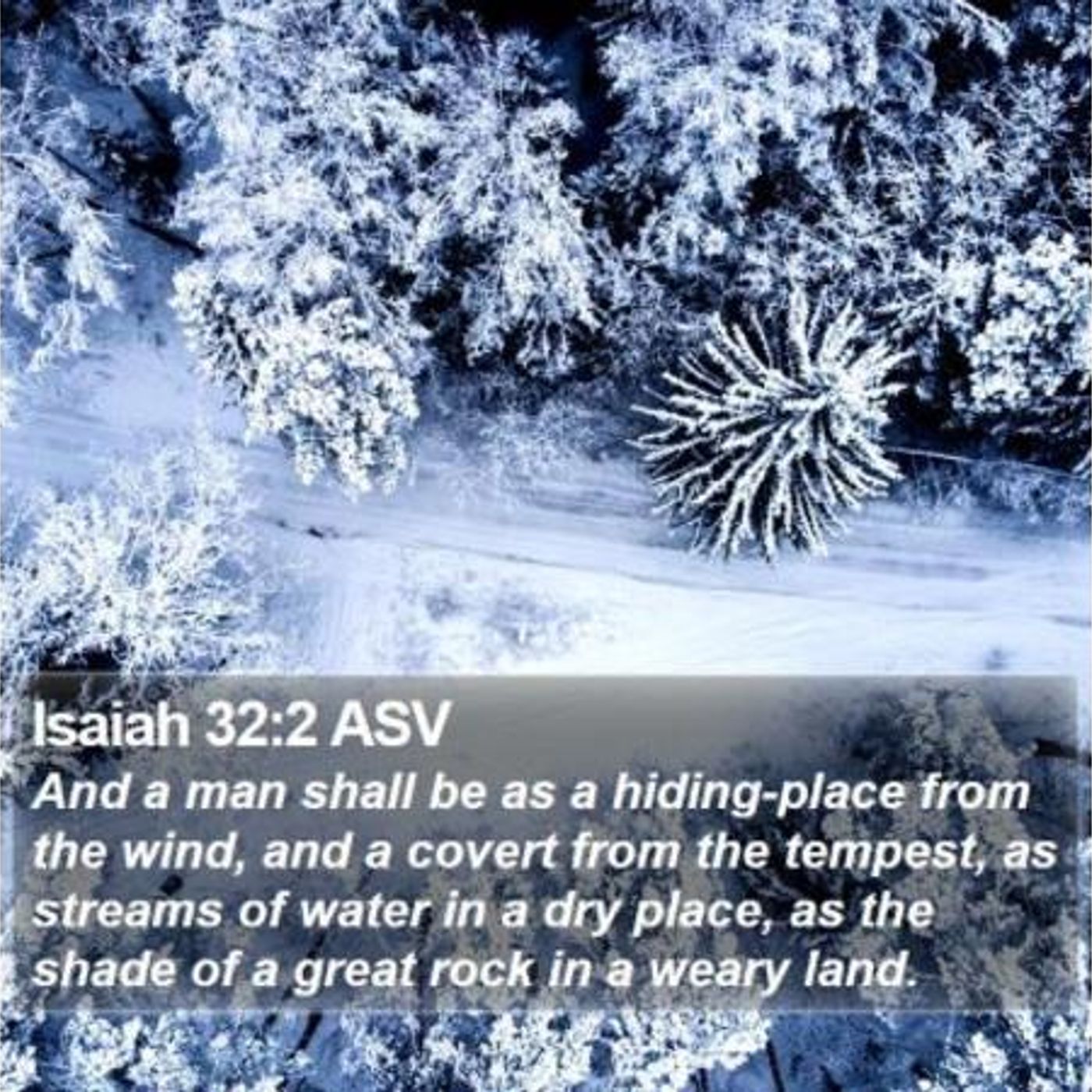 Christ Jesus Our Only Security And Help (Part 3) Isaiah 32:2 - S15 [B359] episode artwork