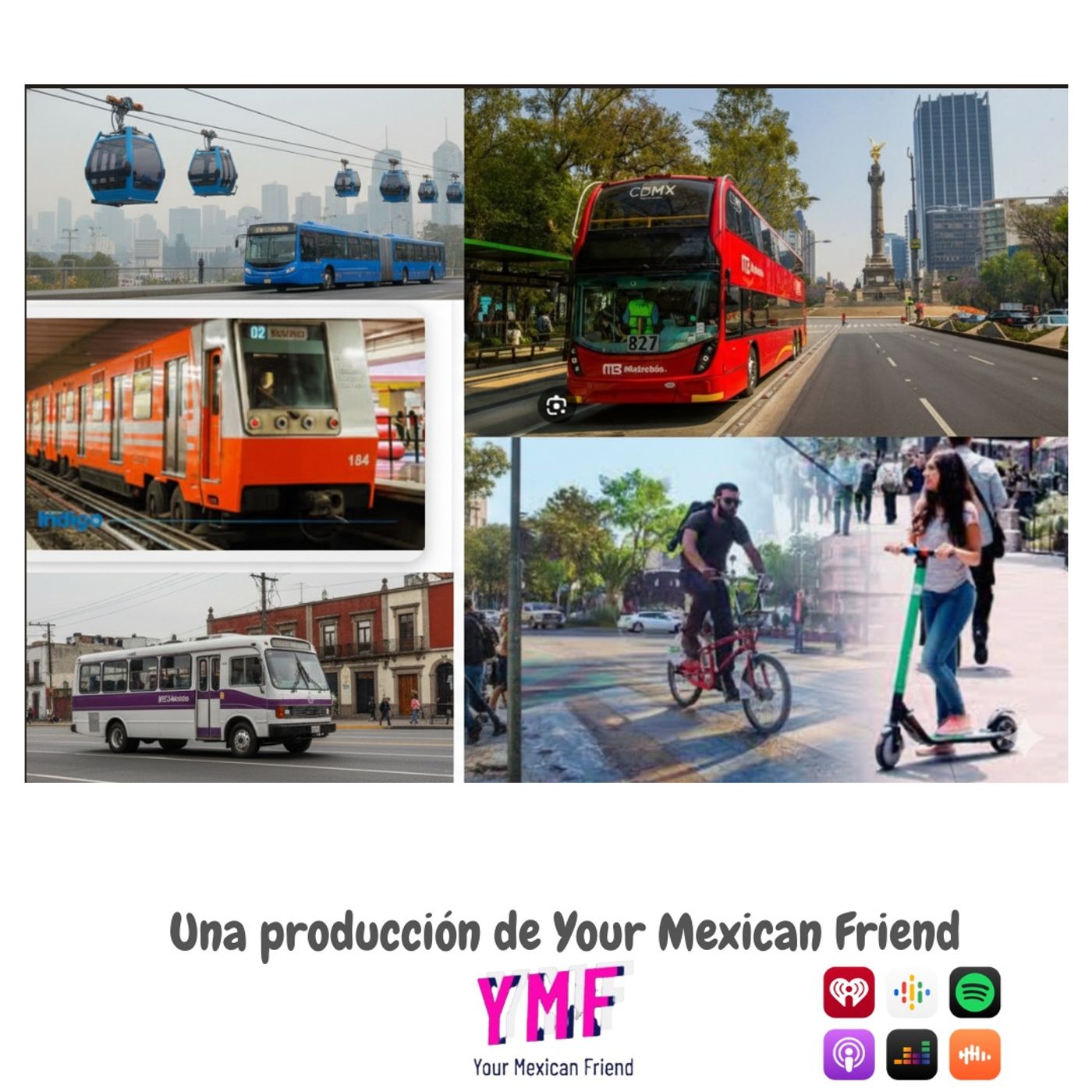 Mexico City on the Move: The Public Transport Guide