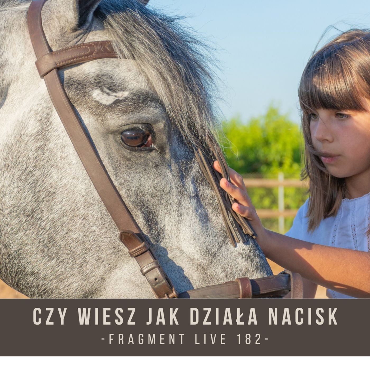 Czy wiesz jak działa nacisk - Fragment live 182 episode artwork