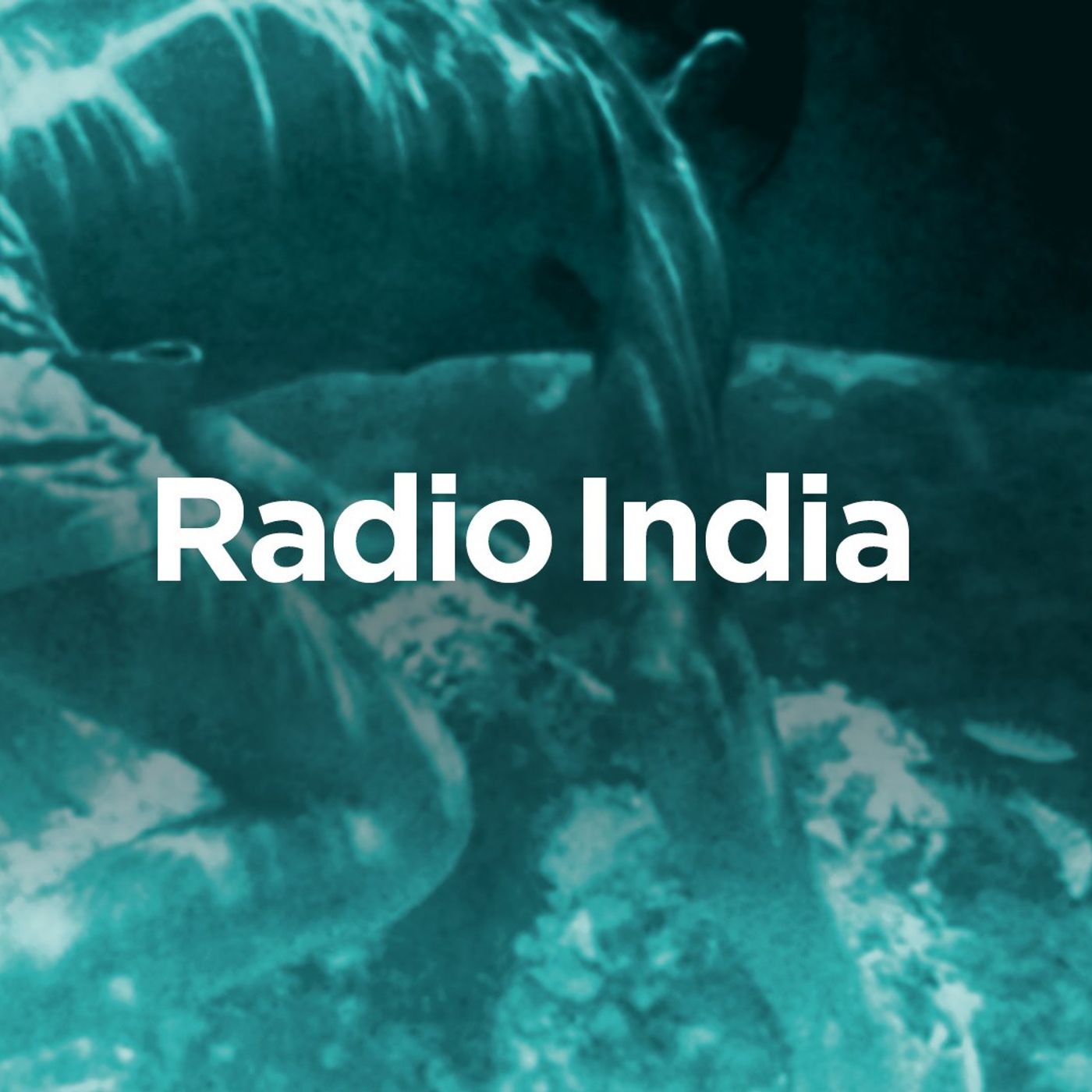1. I live di Radio India