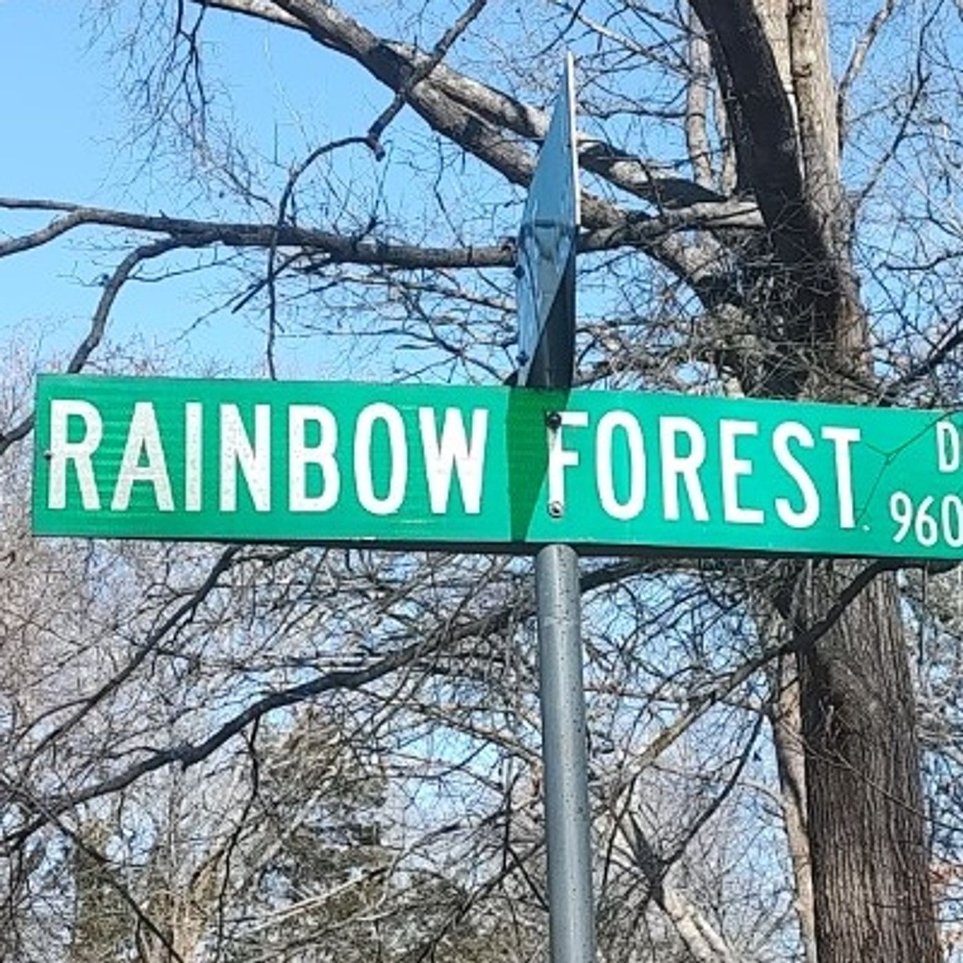 The Lyrics From Rainbow Forest Chapter 395 The Six Point Buck