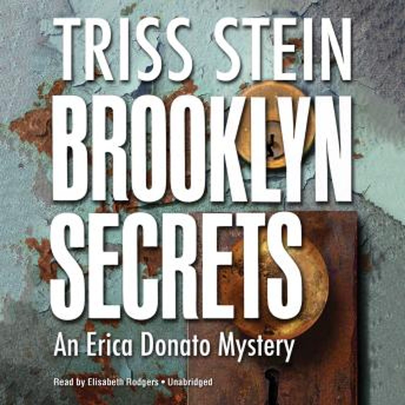 Brooklyn Secrets: An Erica Donato Mystery by Triss Stein episode artwork