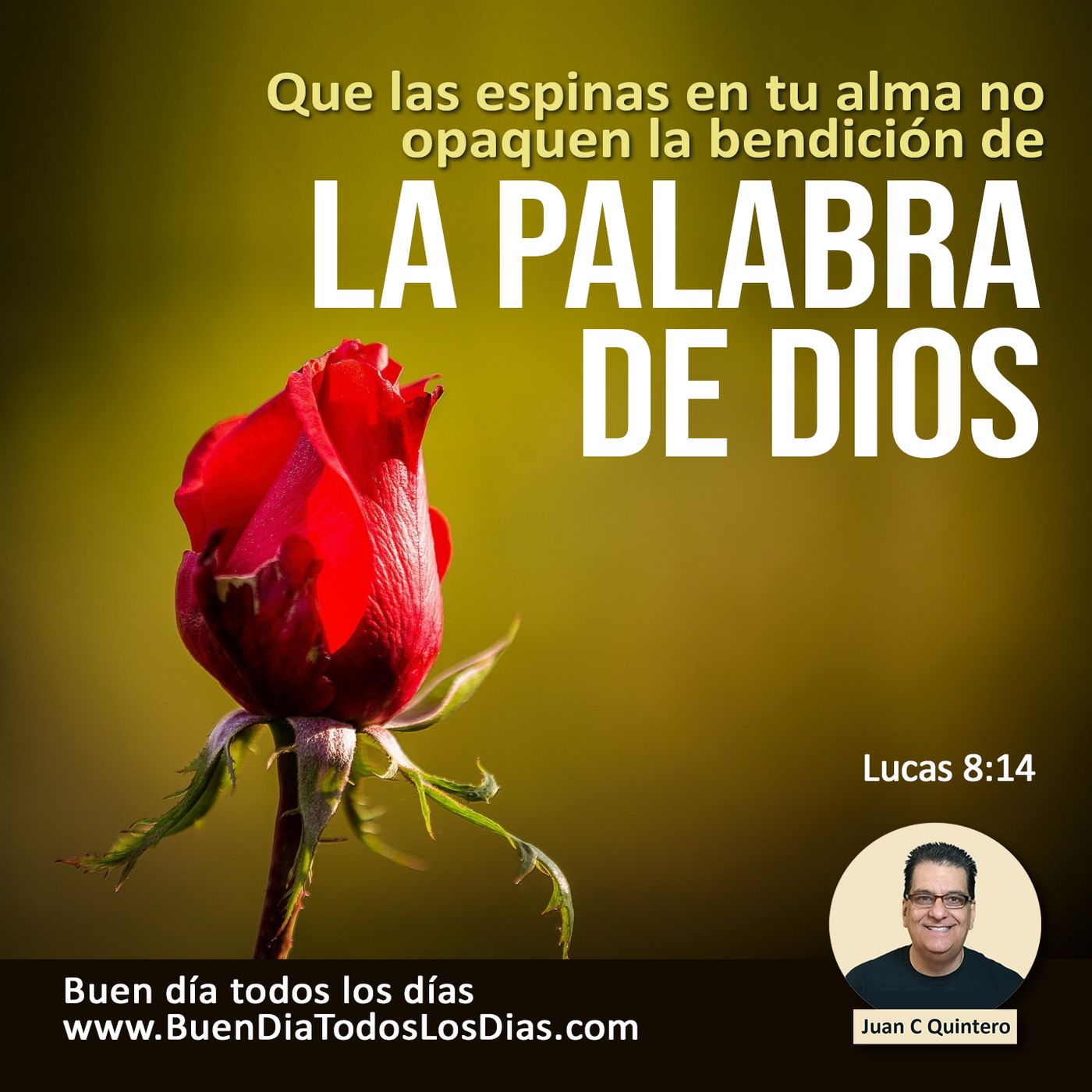 Buen Dia Todos Los Dias