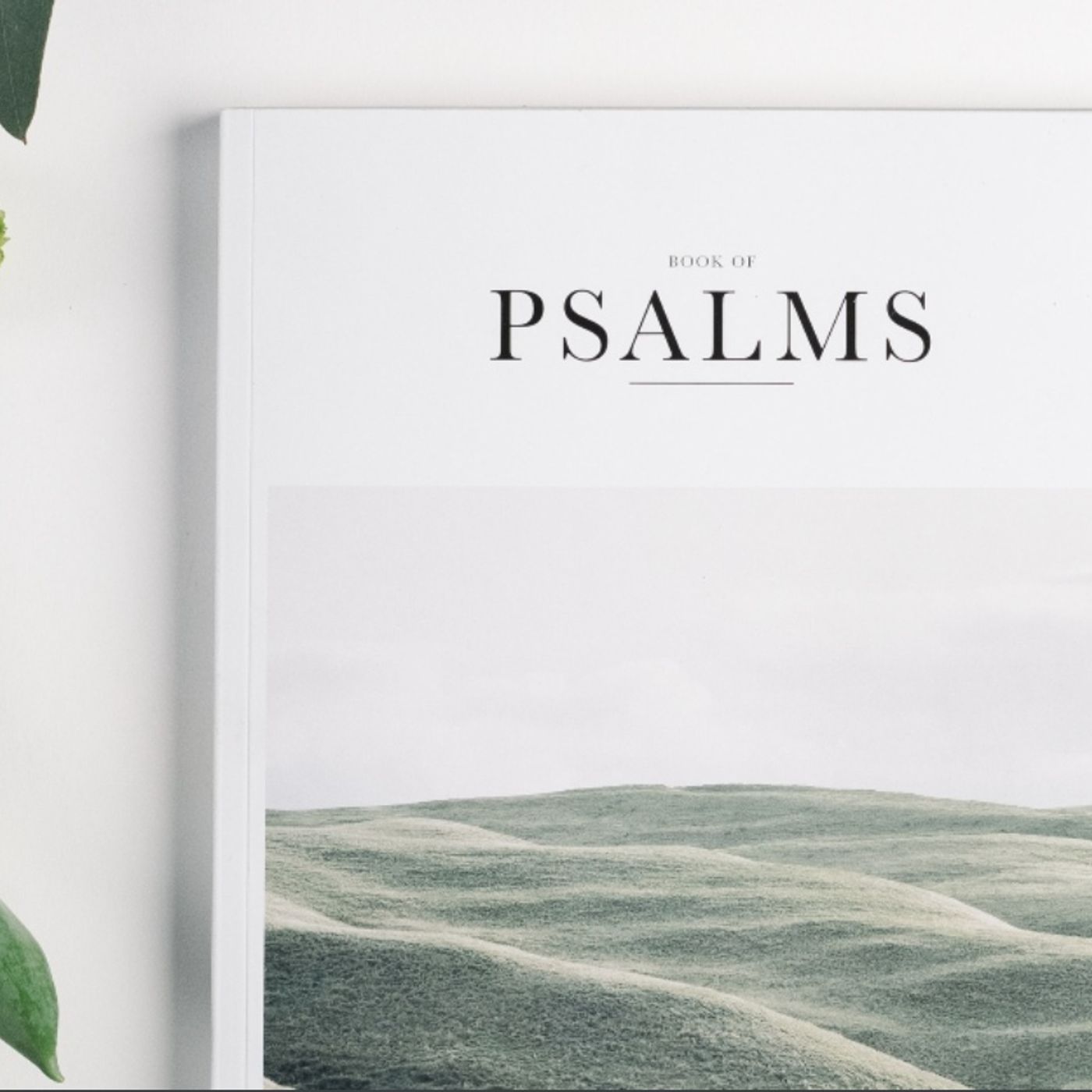 Psalms chapter 17