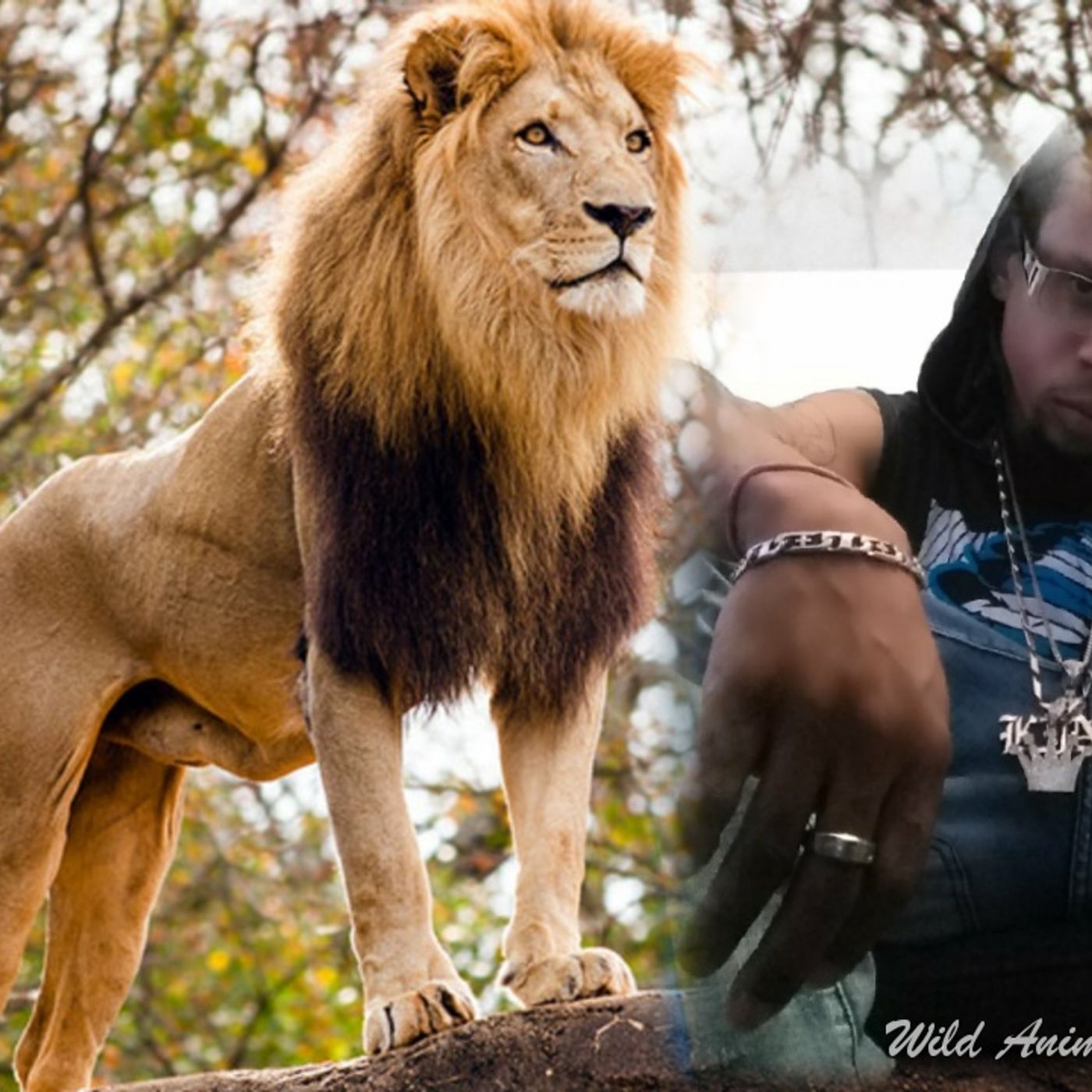 KING👑FATT!...productions