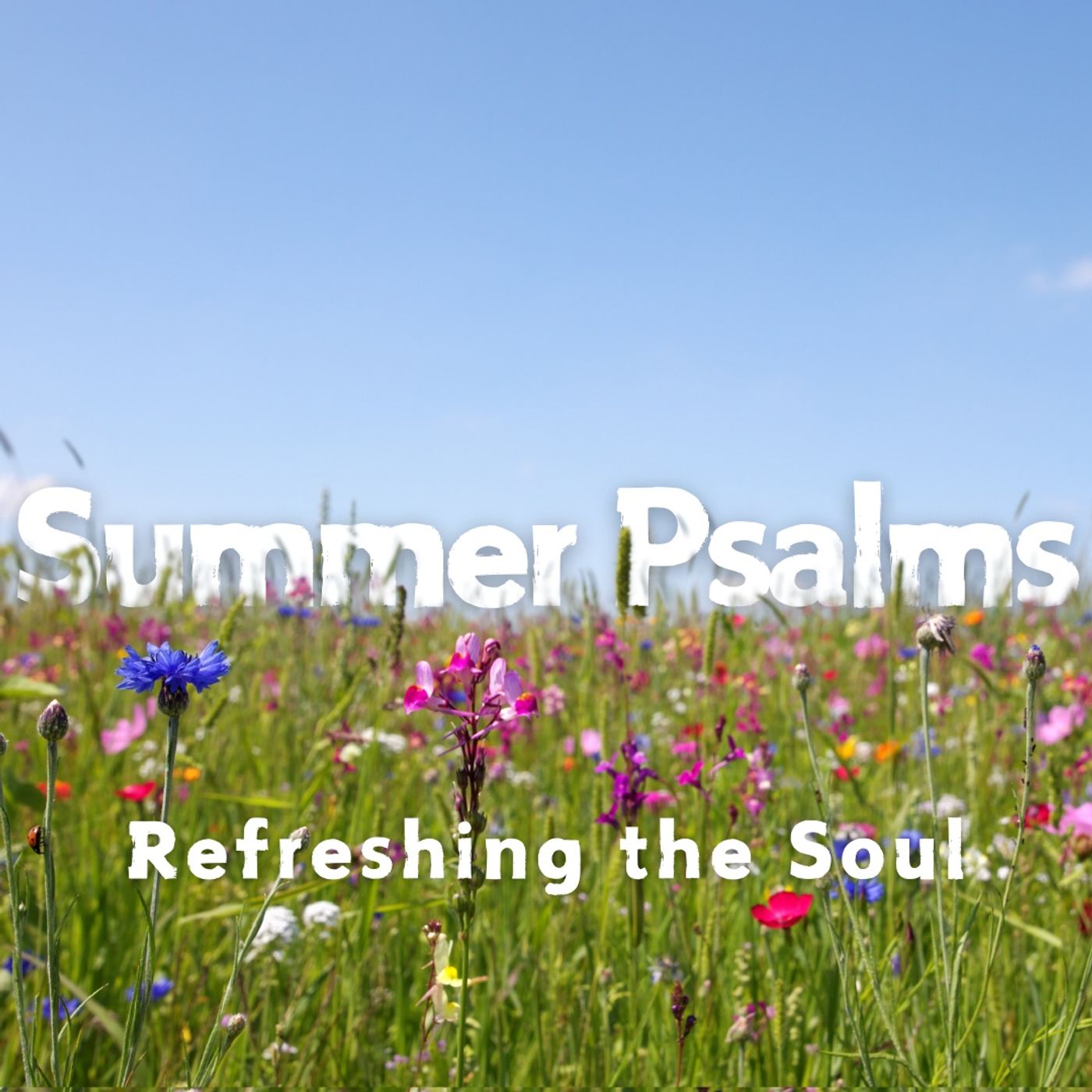 Psalm 27 (John Owen) episode artwork