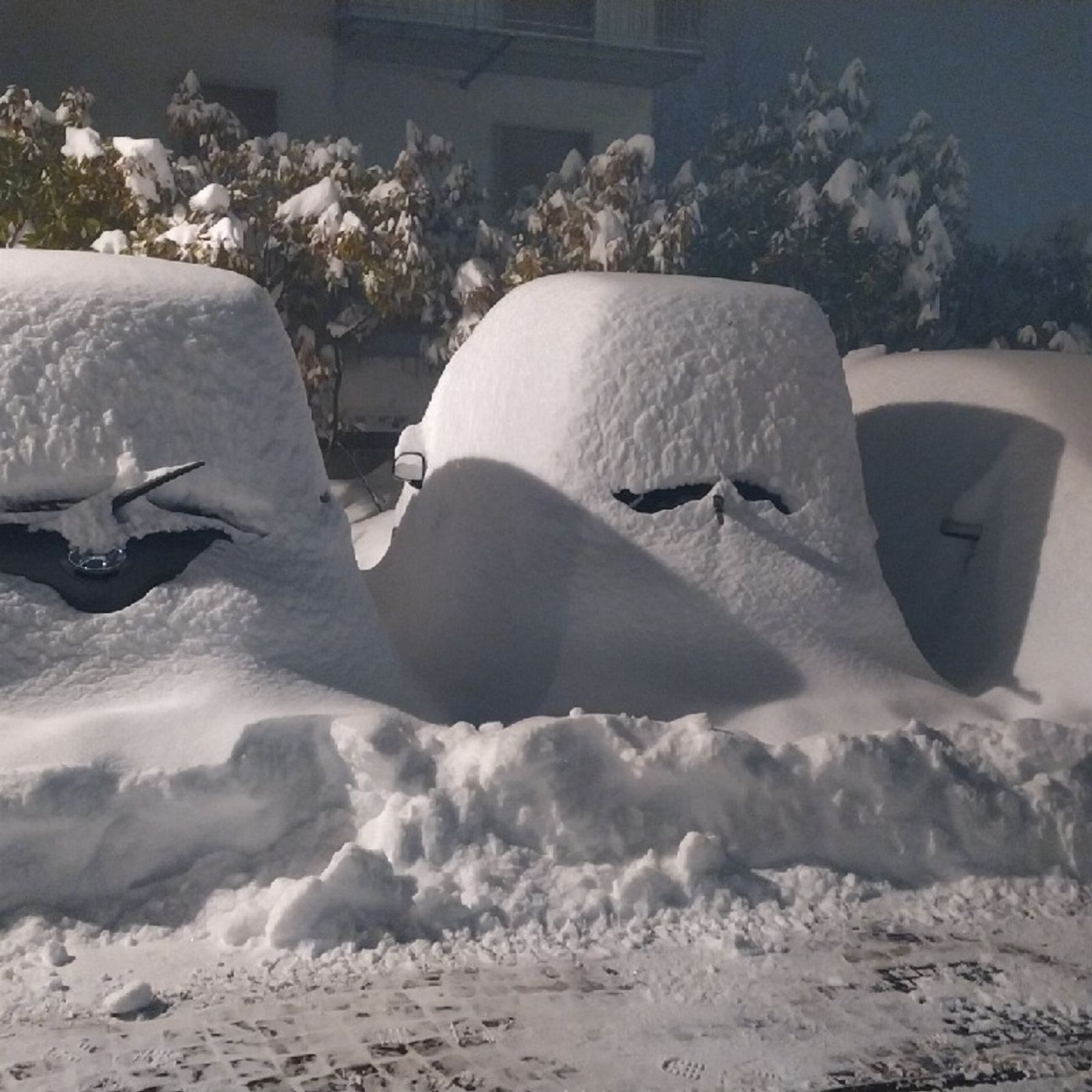 Episodio 44 - Neve, ETF, dividendi e libertà