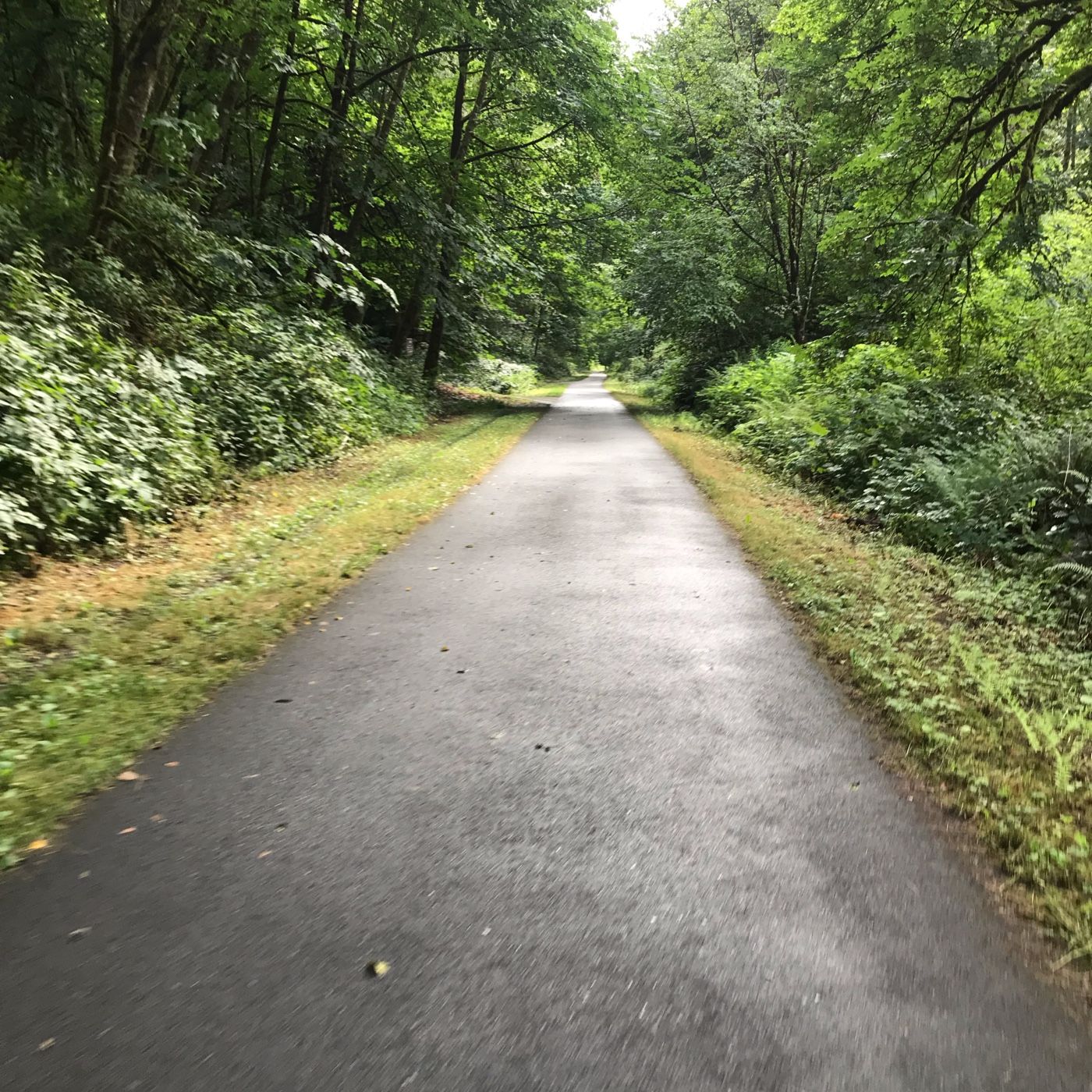 The Bible Reading Place