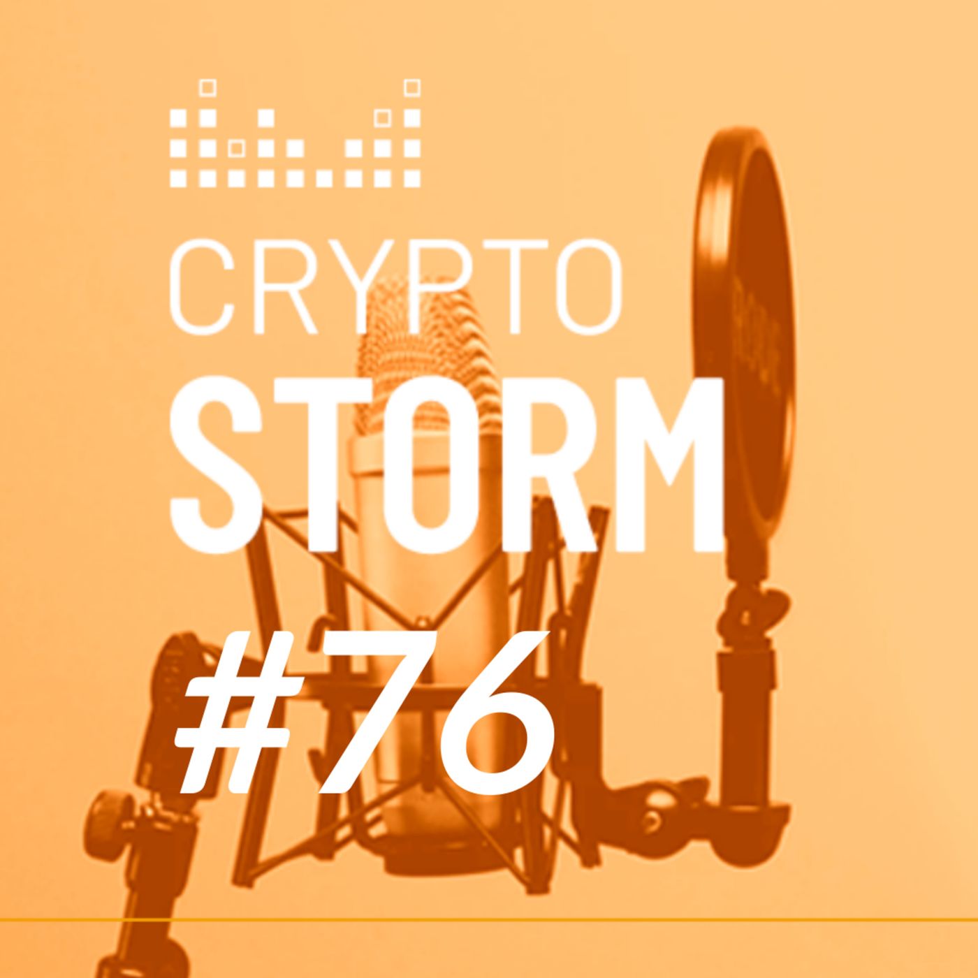 Crypto Storm