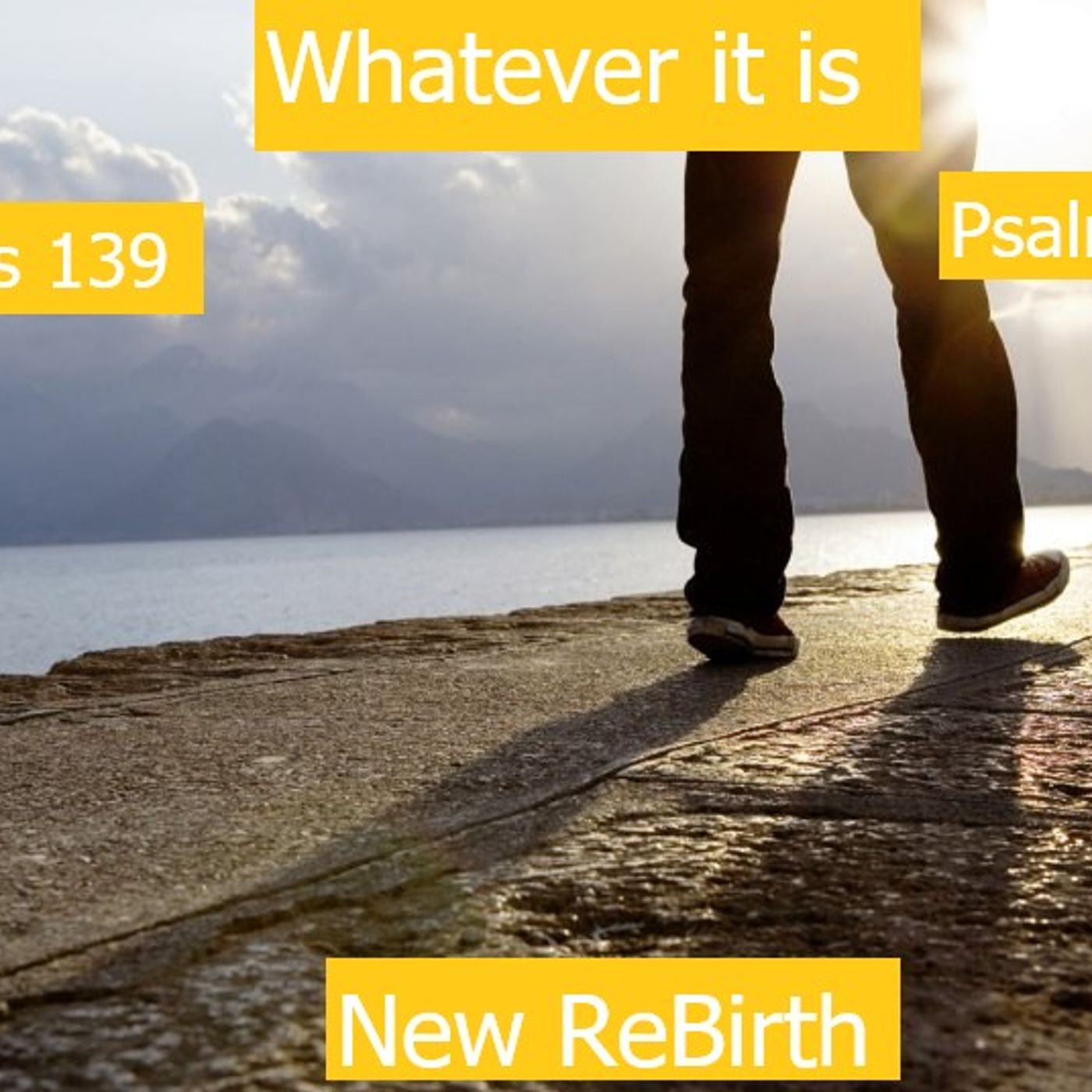 February 12,2026  New ReBirth   Whatever it is episode artwork