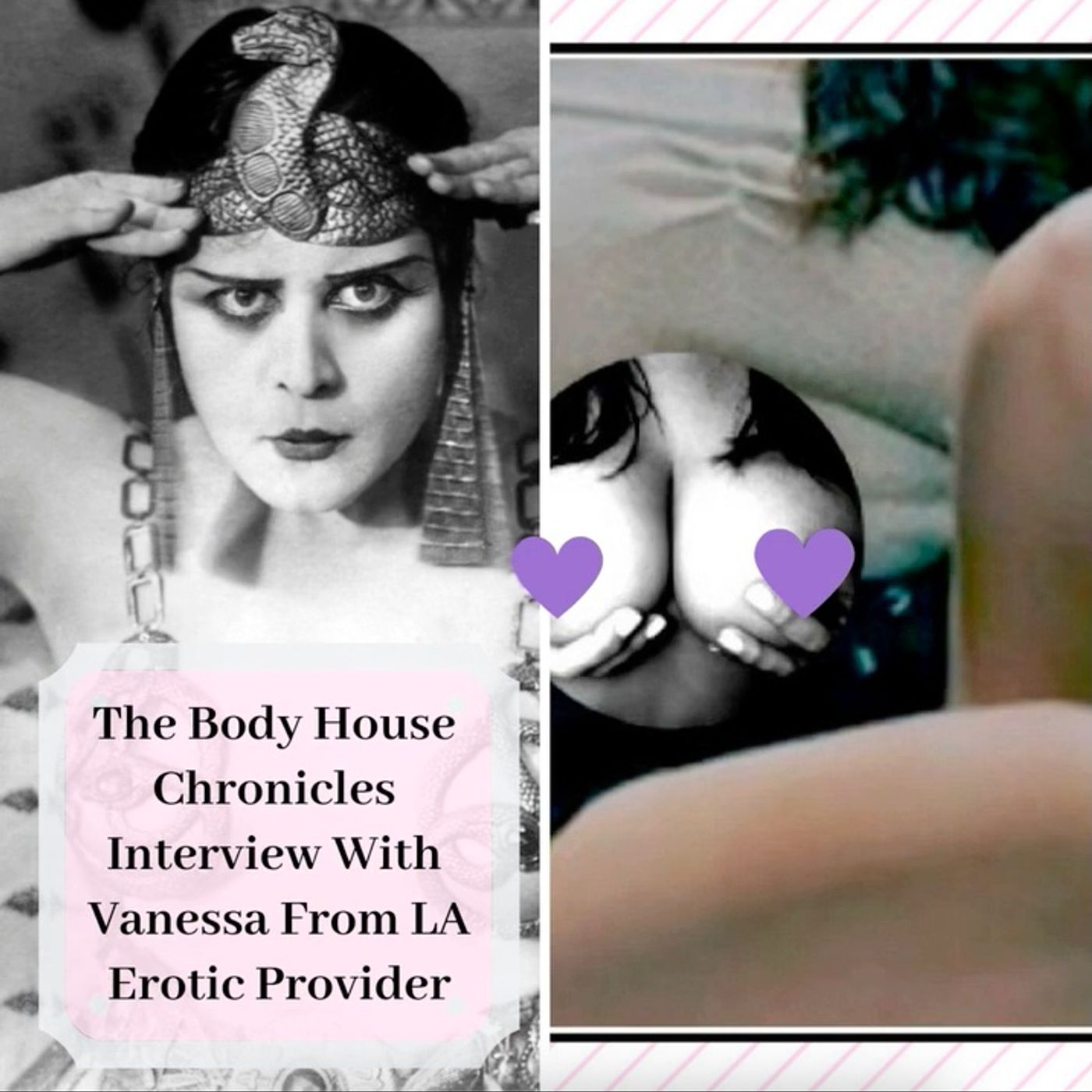 The Body House Chronicles