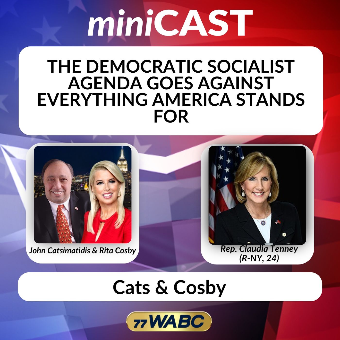 Rep. Claudia Tenney: The Democratic Socialist Agenda Goes Against Everything America Stands For episode artwork