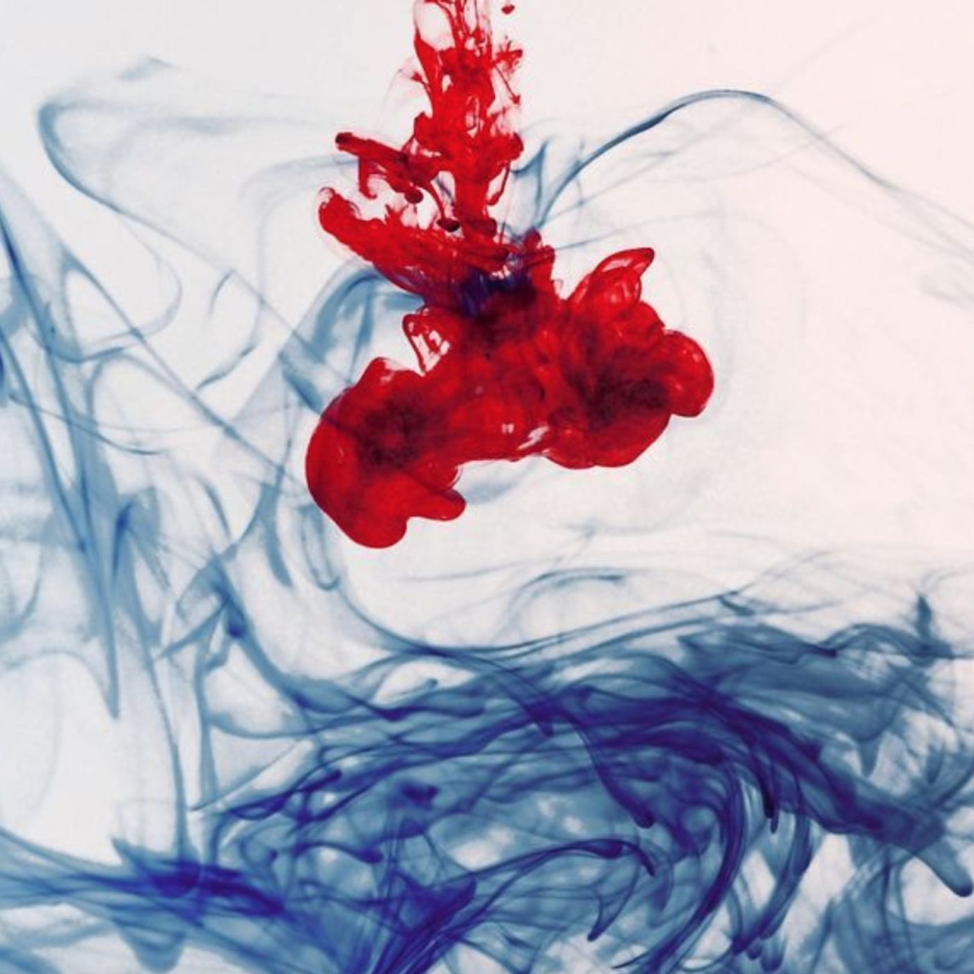 Sergio Daniele Donati: Fotosintesi della parola