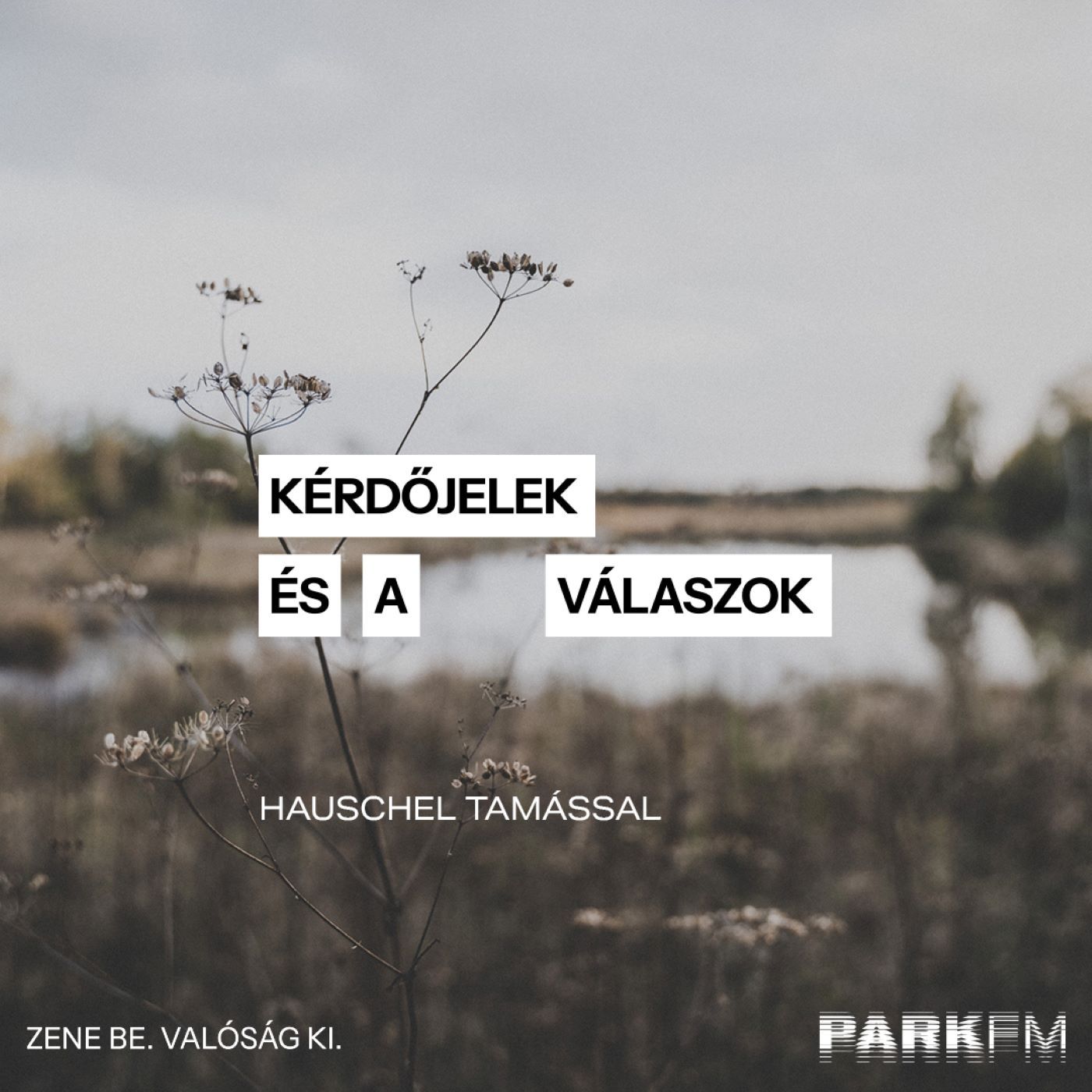 Kérdőjelek és a válaszok / Hauschel Tamás, vendég: Jancsa Jani a Park FM-en! 2025 episode artwork