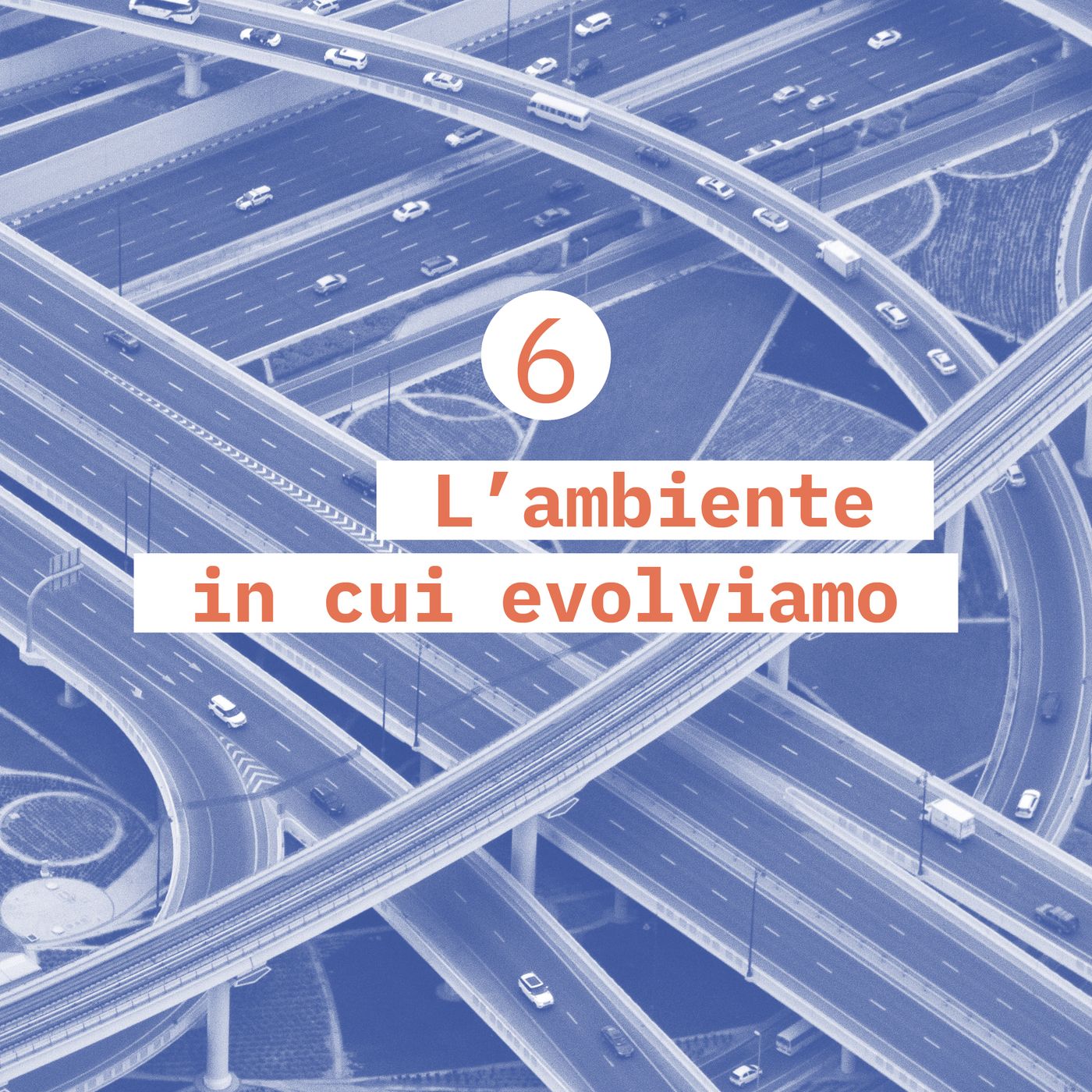 6. L'ambiente in cui evolviamo