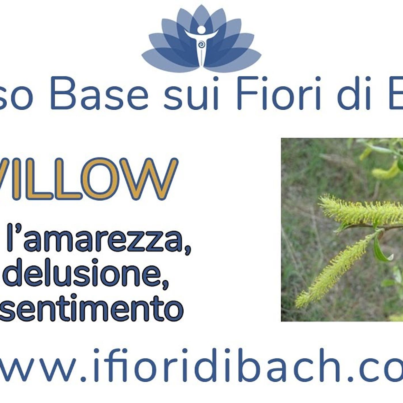 Fiori di Bach in pillole