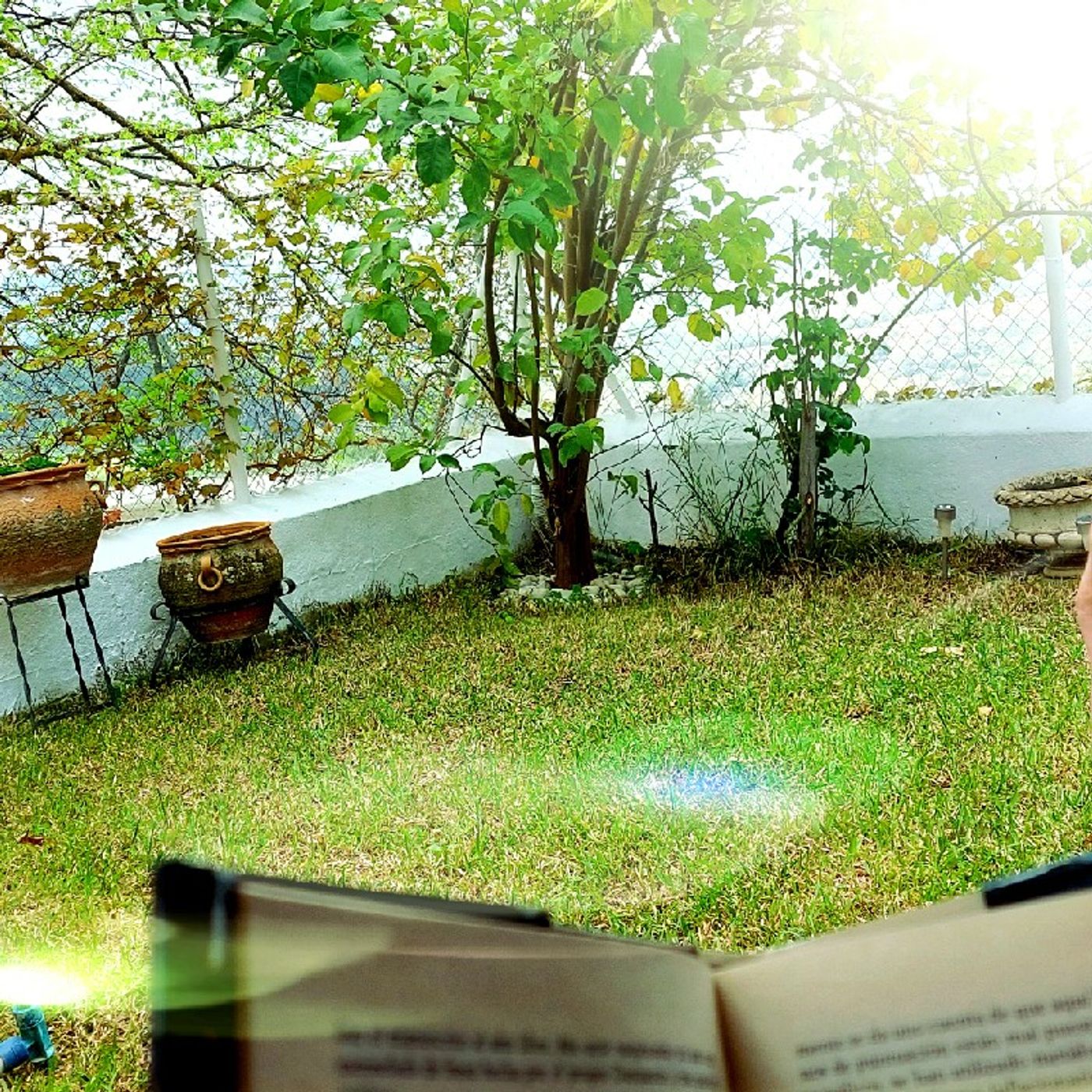 Poesía y Música