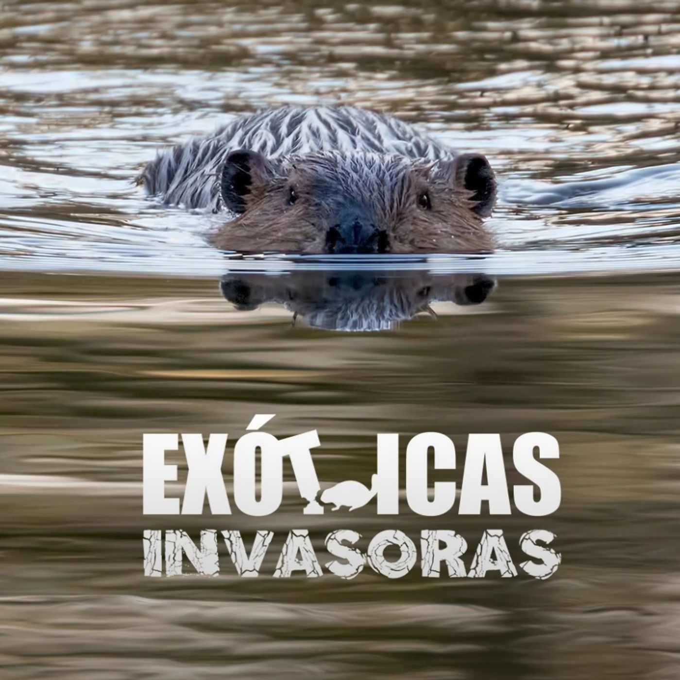 La Amenaza Silenciosa
