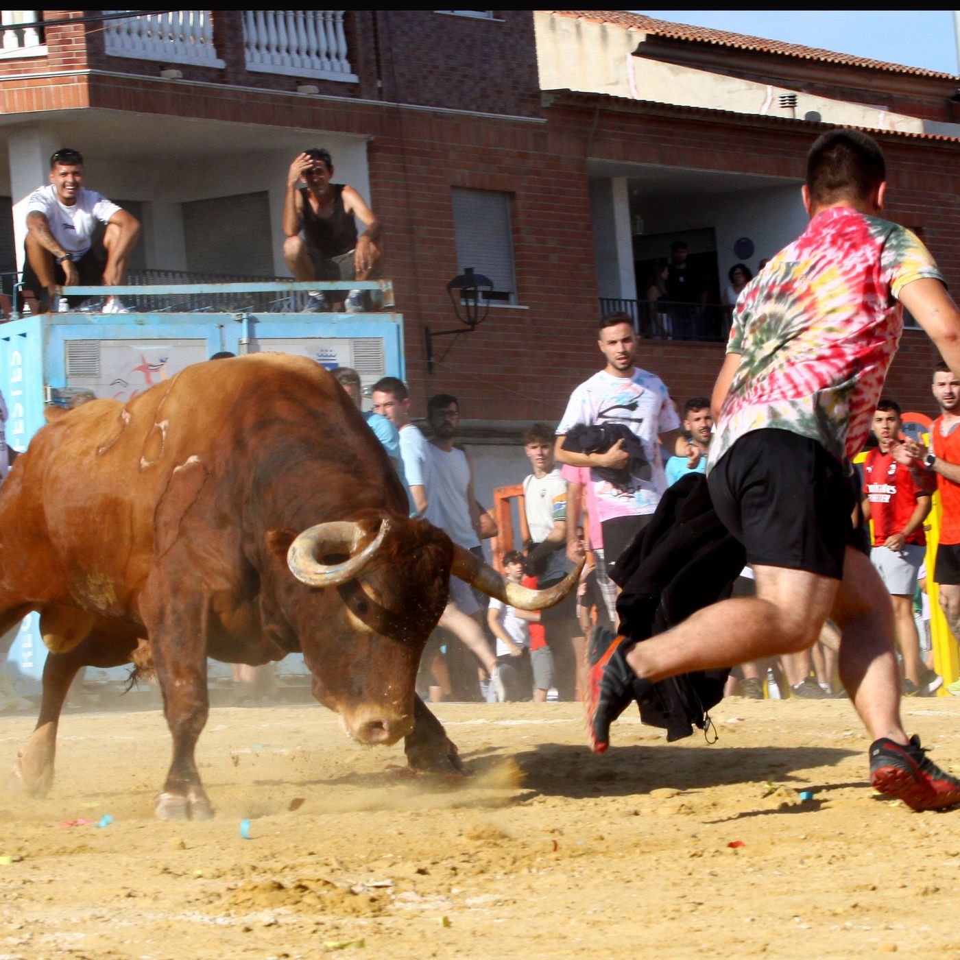 Hablemos de Toros