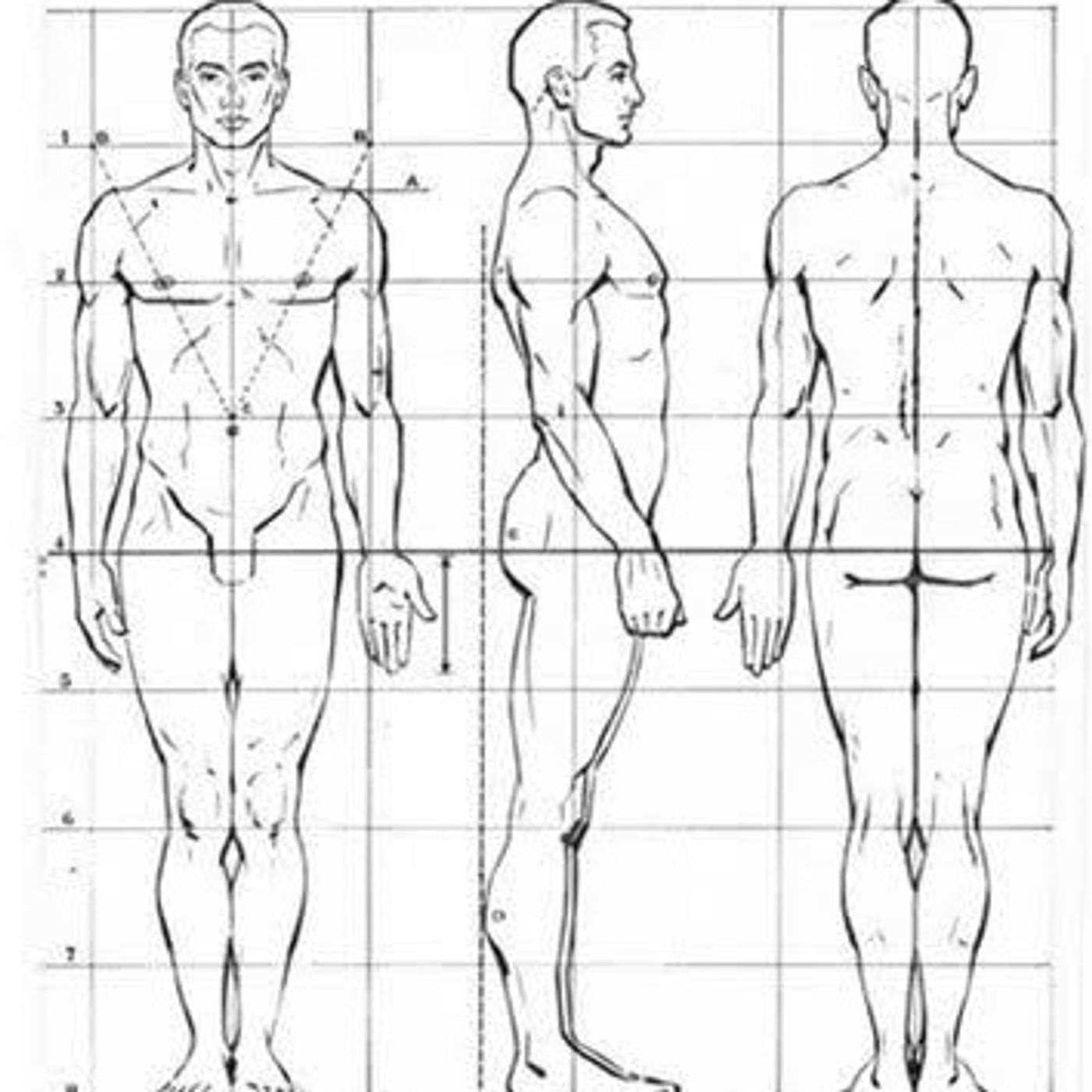 Partes del Cuerpo episode artwork