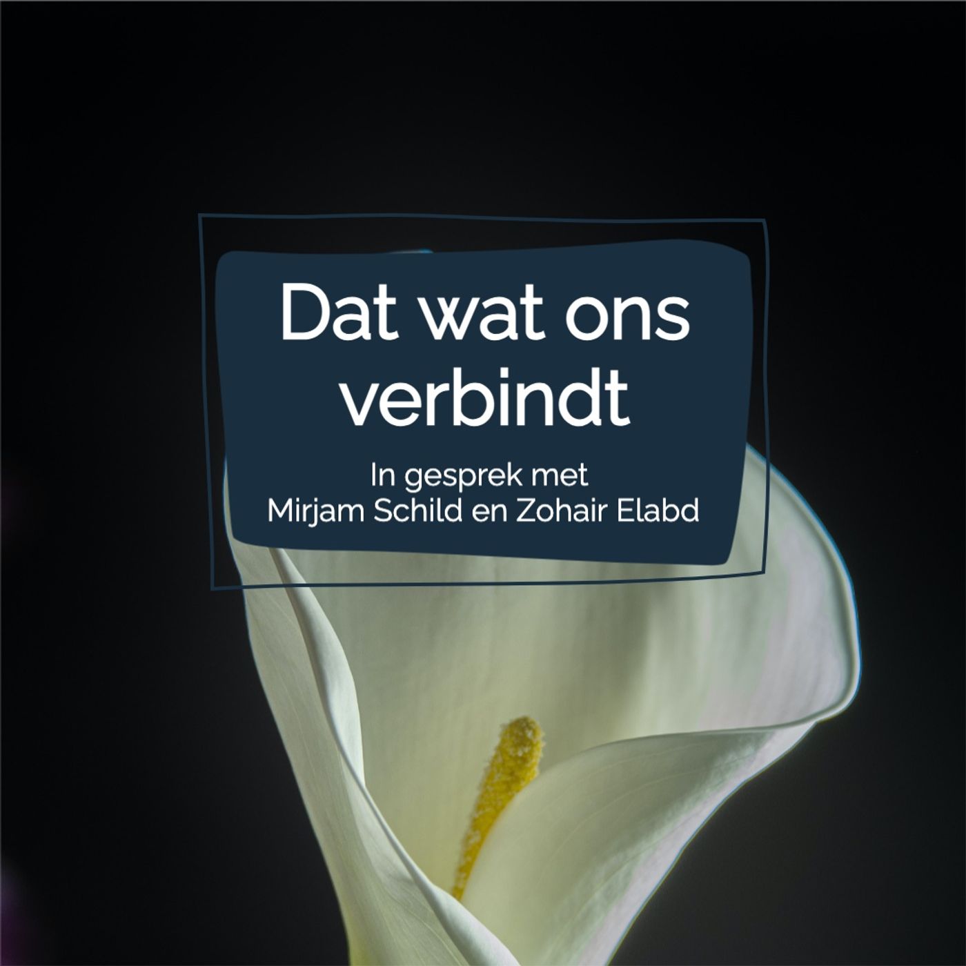 30NOW - Meditatie voor iedereen