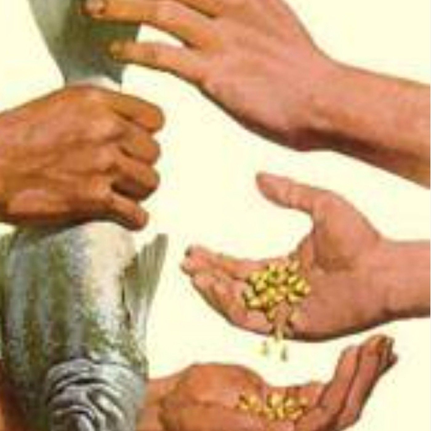 podcast de Murilo Scheffer Nogarotto cover art