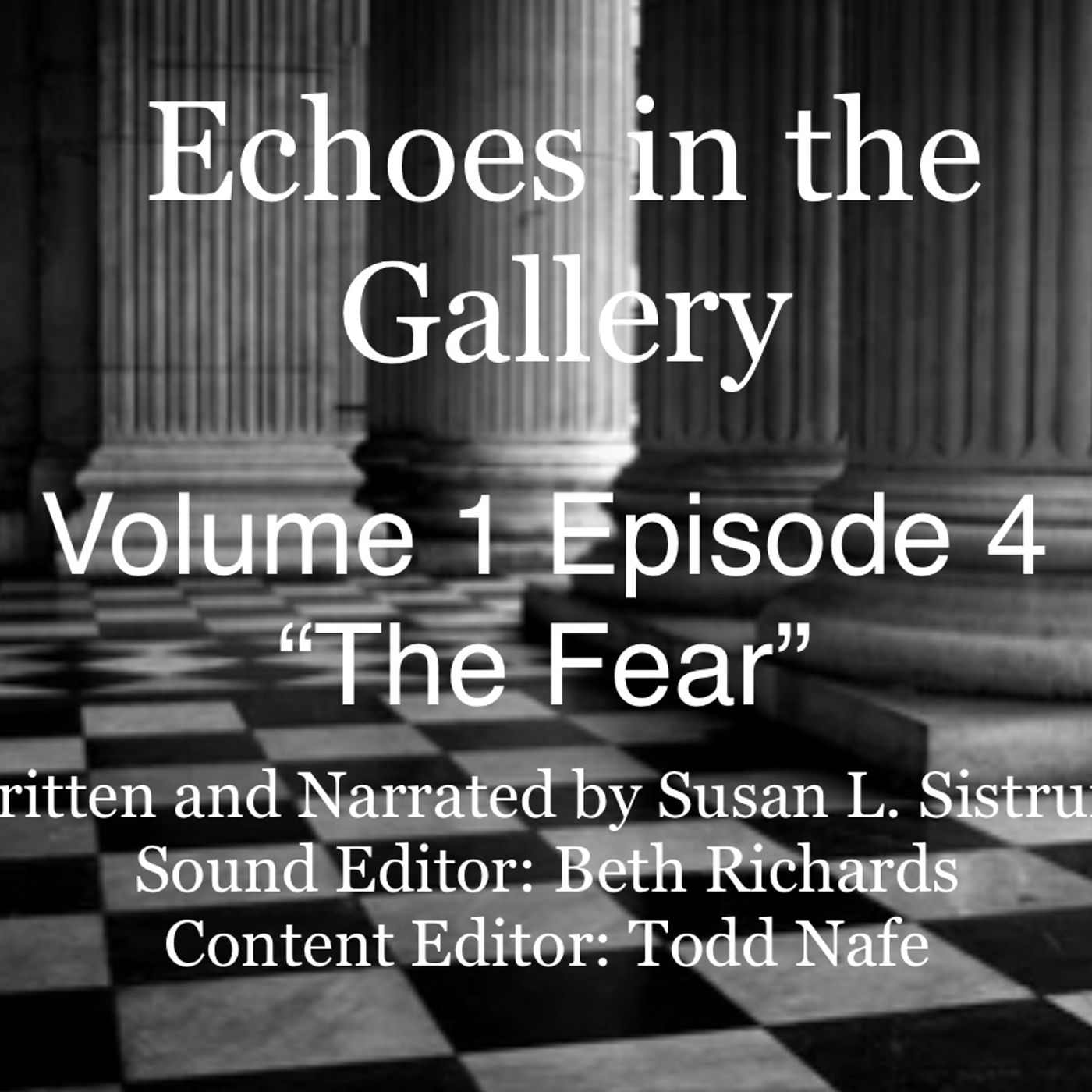 Echoes in the Gallery