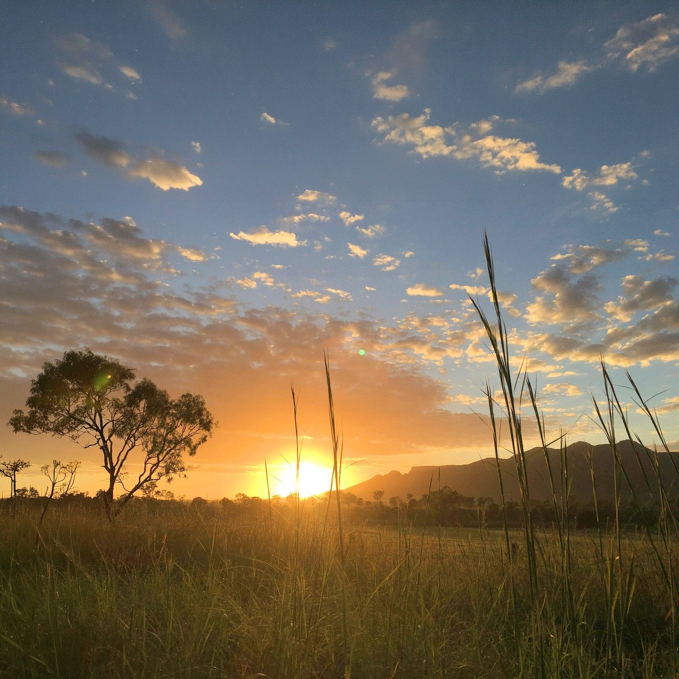 Australian Dawn Chorus - 10 Hours Sleep Sound episode artwork