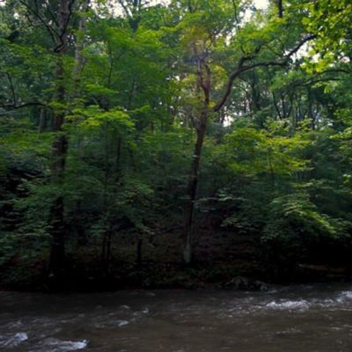 Sleep Sounds by Tmsoft