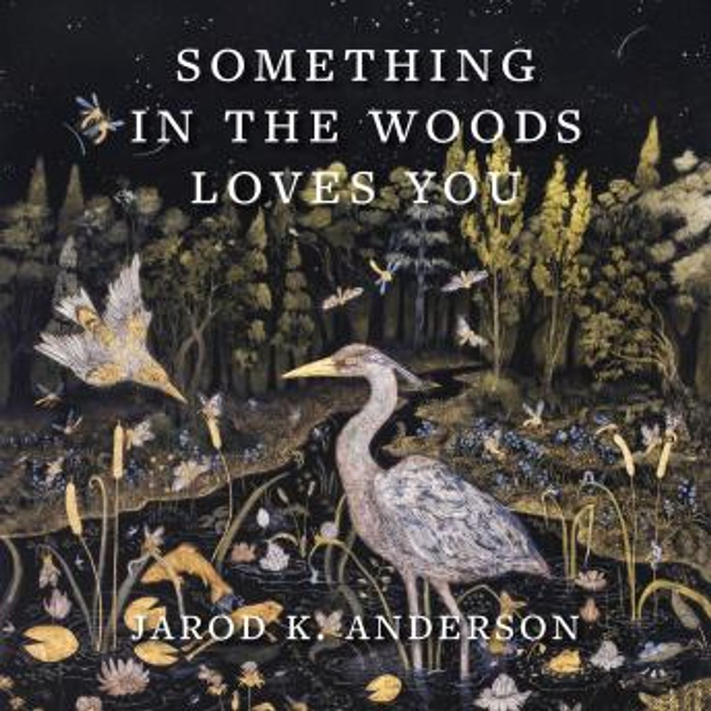 Discover the Best Audio Stories in Biography & Memoir