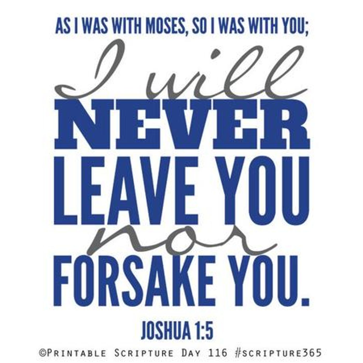 God's Lifetime Warranty (Part 2) Joshua 1:5 - S8 [B323] episode artwork