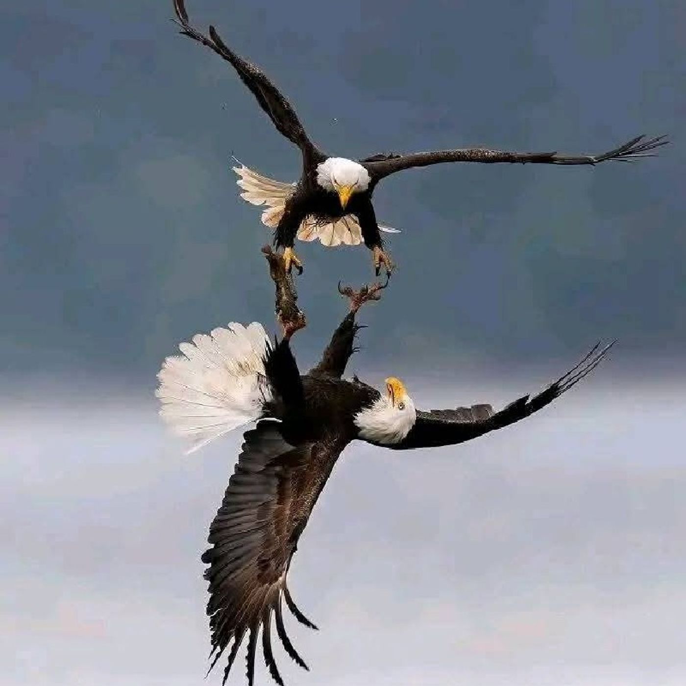 Things you should know in life