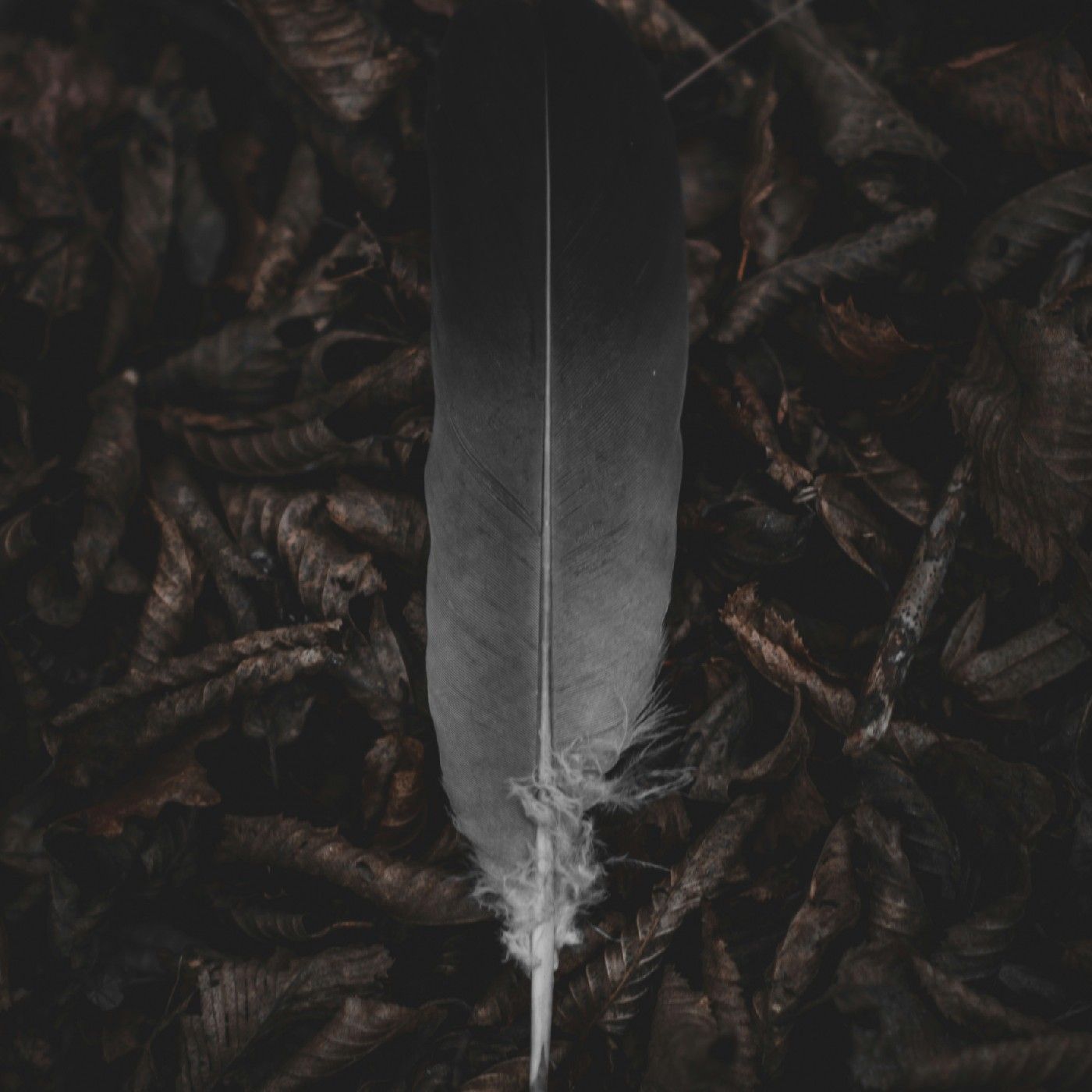 El Deber y La Acción episode artwork