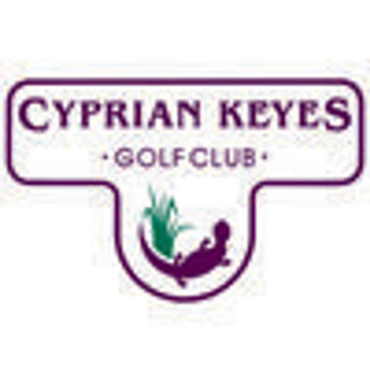 Talking Golf