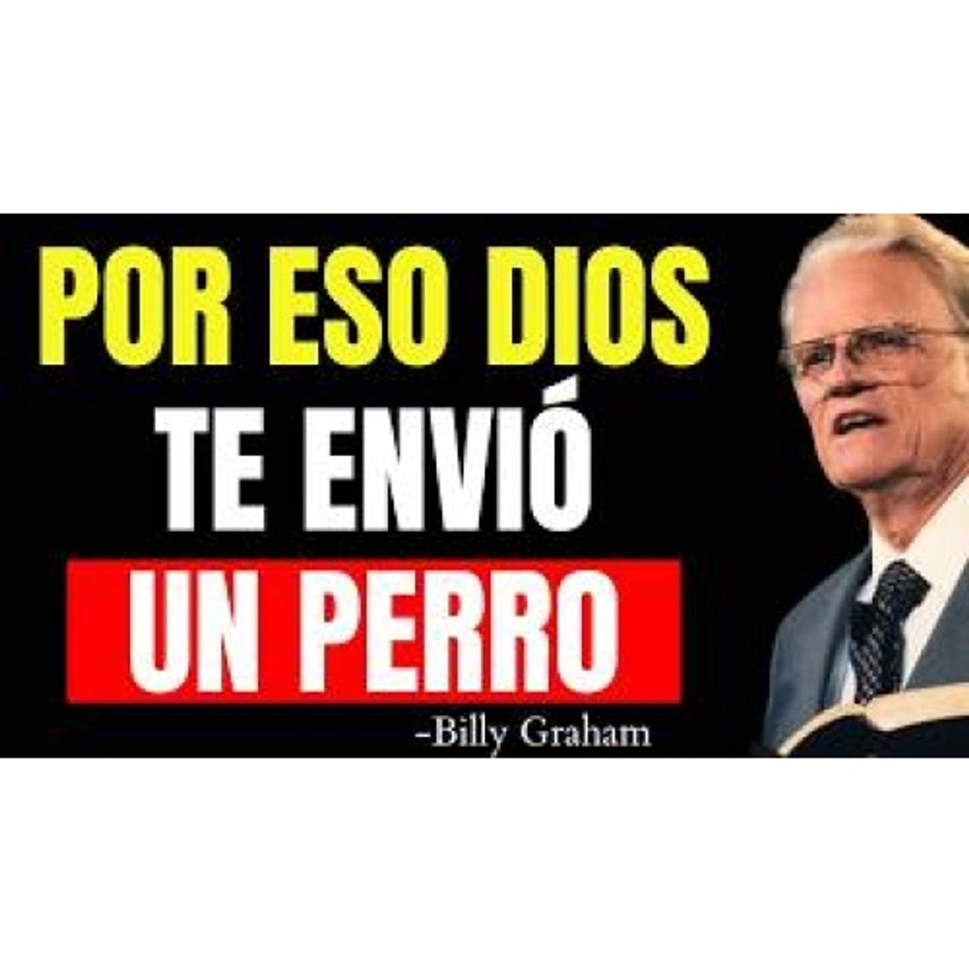 Tu perro podría tener un propósito espiritual (mira esto) - Predicas Cristianas Diarias episode artwork