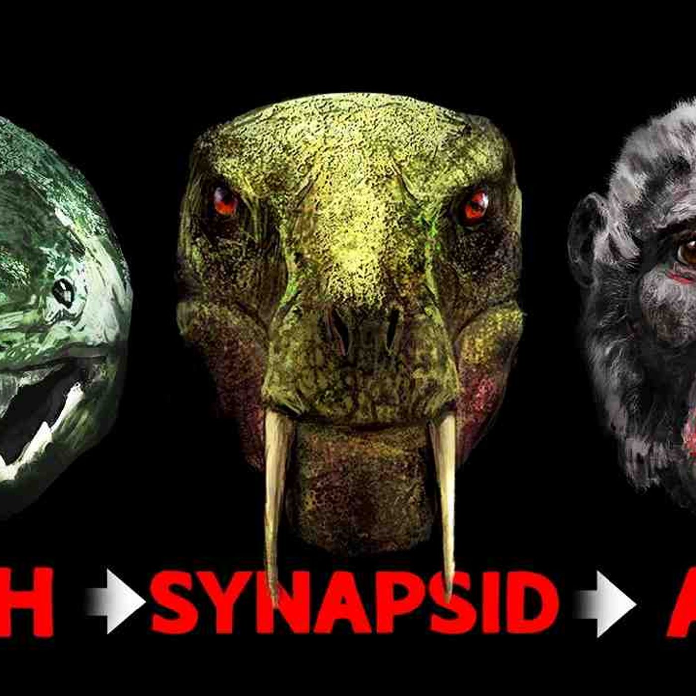 The Freakish Evolution of the Human Face episode artwork