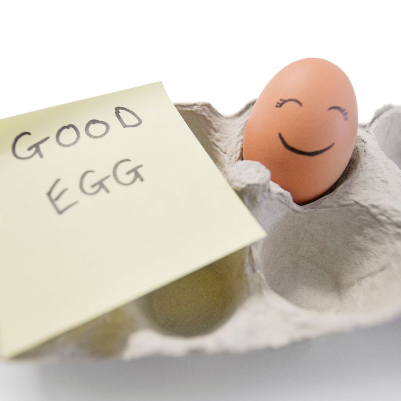 Cracking the Code: Exploring the World of The Good Eggs with Guest Author Sandy Ciaramitaro