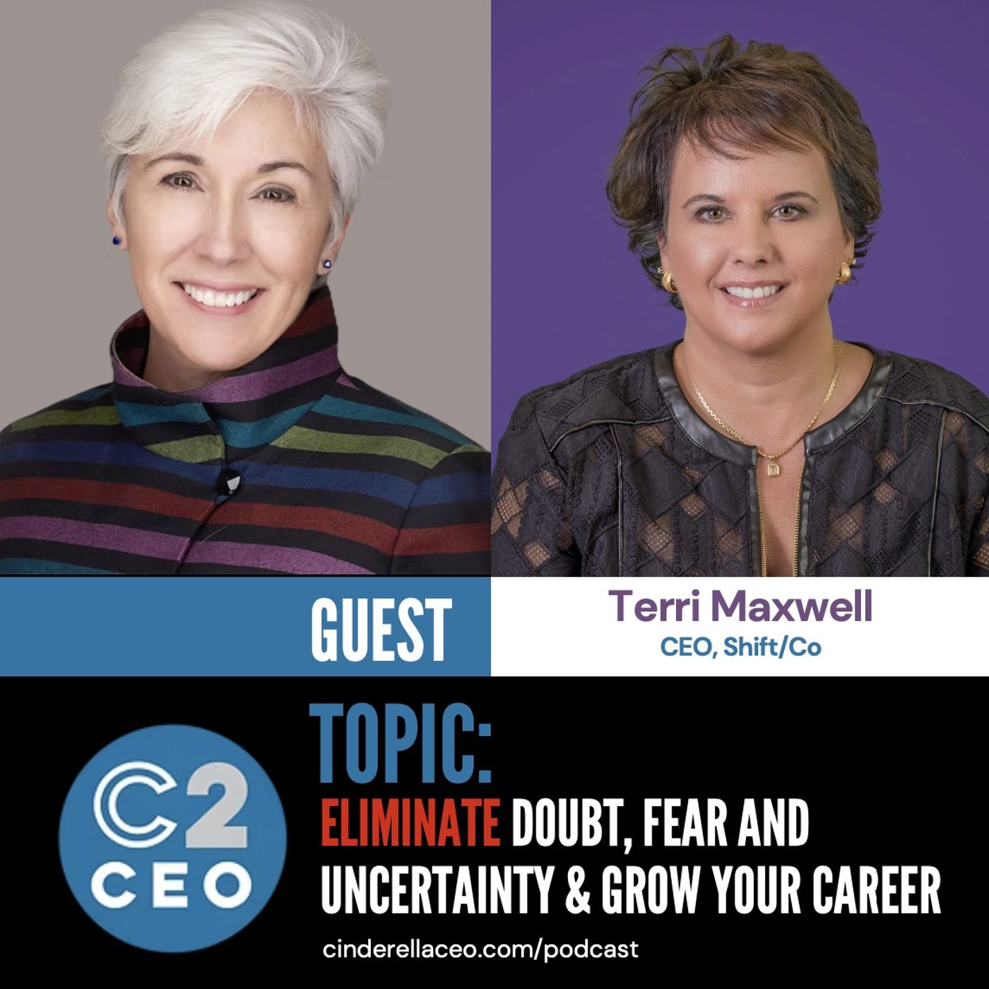 C2CEO Career-Comeback Stories