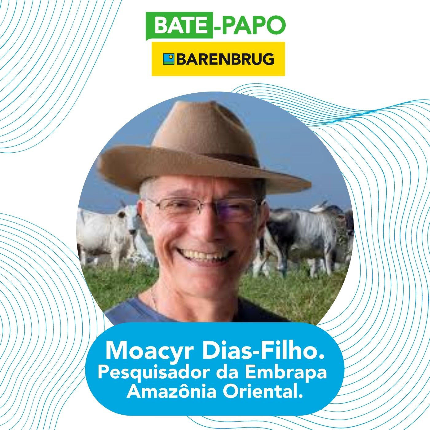 Bate-Papo Barenbrug: Tendências do Agronegócio