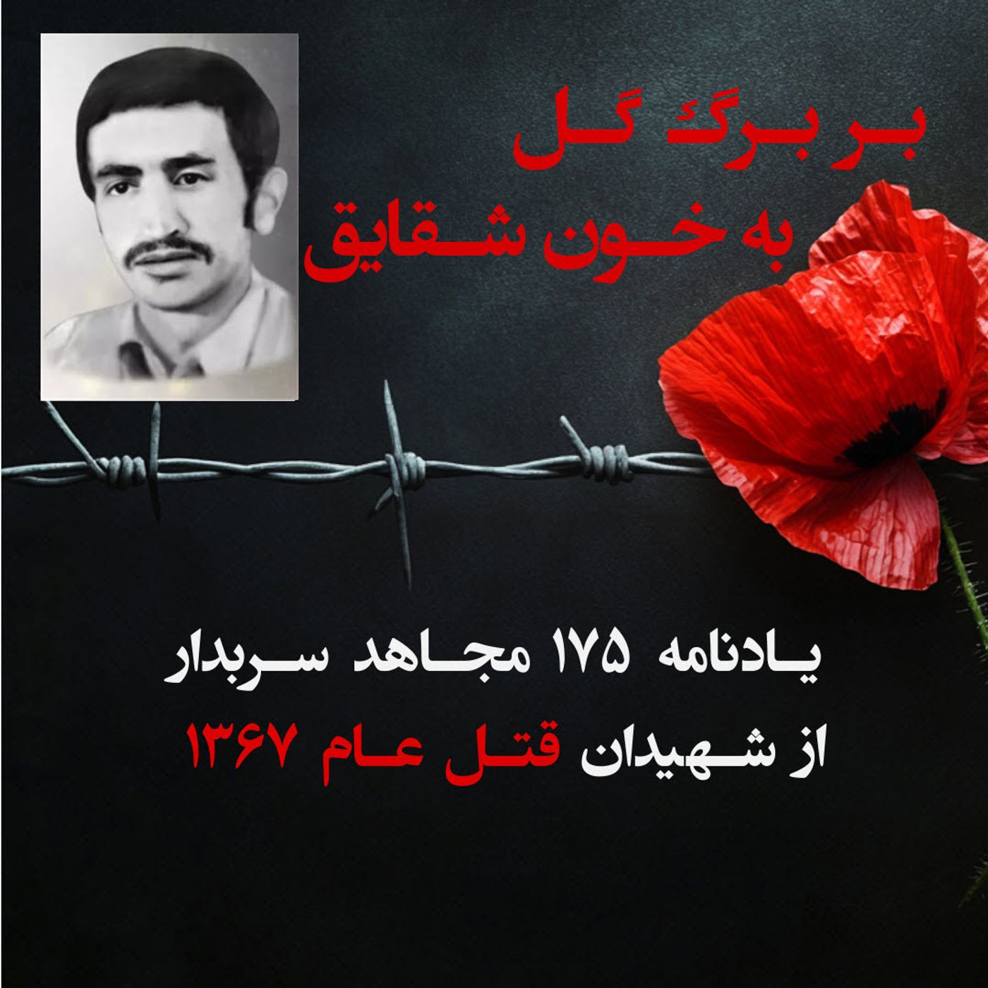 بربرگ گل به خون شقایق-احمد حسینی